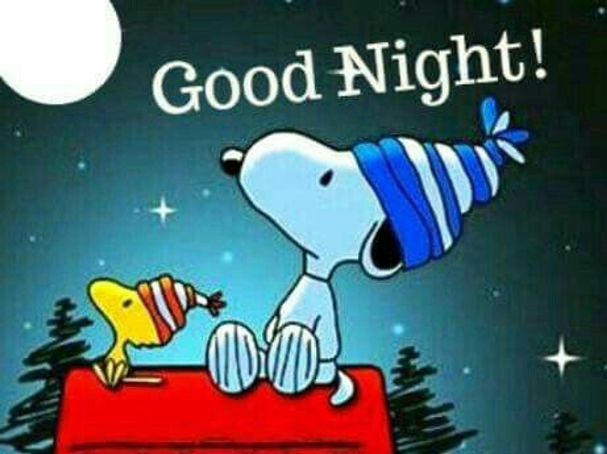 Snoopy goodnight