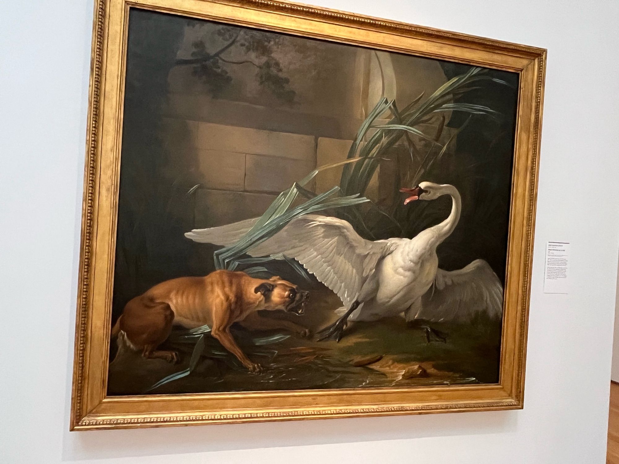 A classic oil painting of a dog and swan. The swan is agitated and has its wings open. The dog is barking and the swan is snapping at the dog.