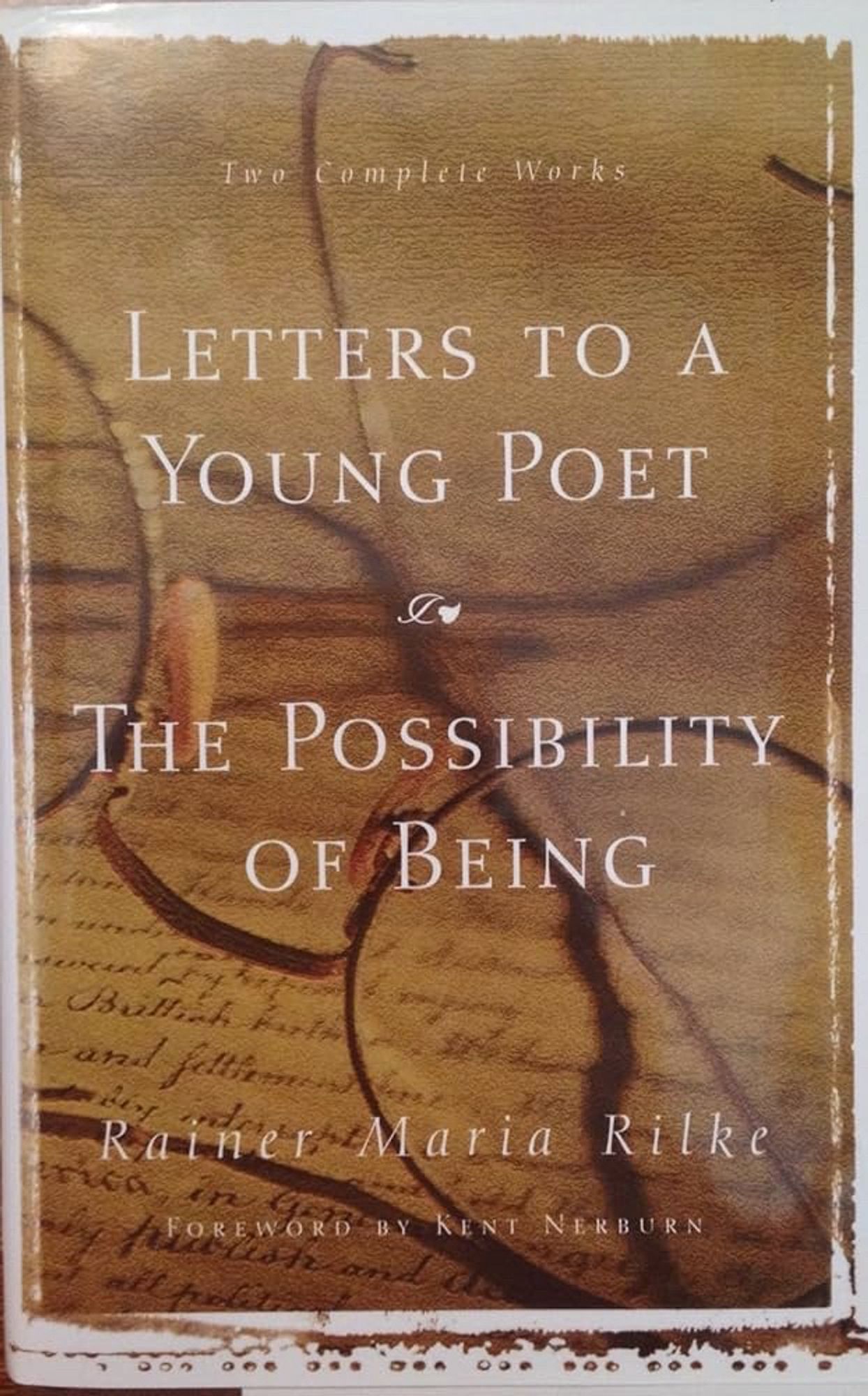 Book Cover of “Letters to a Young Poet” by Rainer Maria Rilke