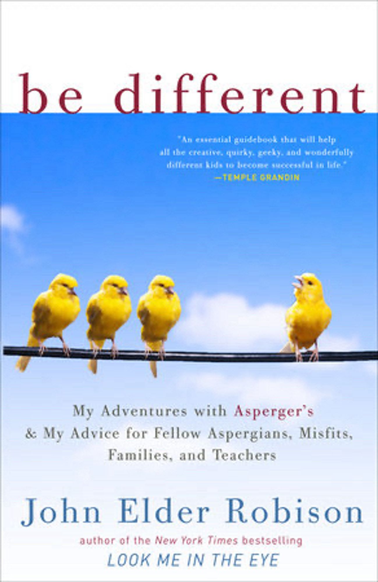 Book cover of “be different: My adventures with Asperger’s & My advice for fellow aspergians, misfits, families, and teachers”