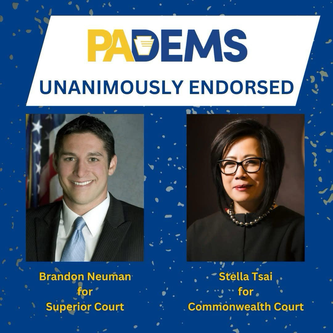 Dems endorse Neuman and Tsai
