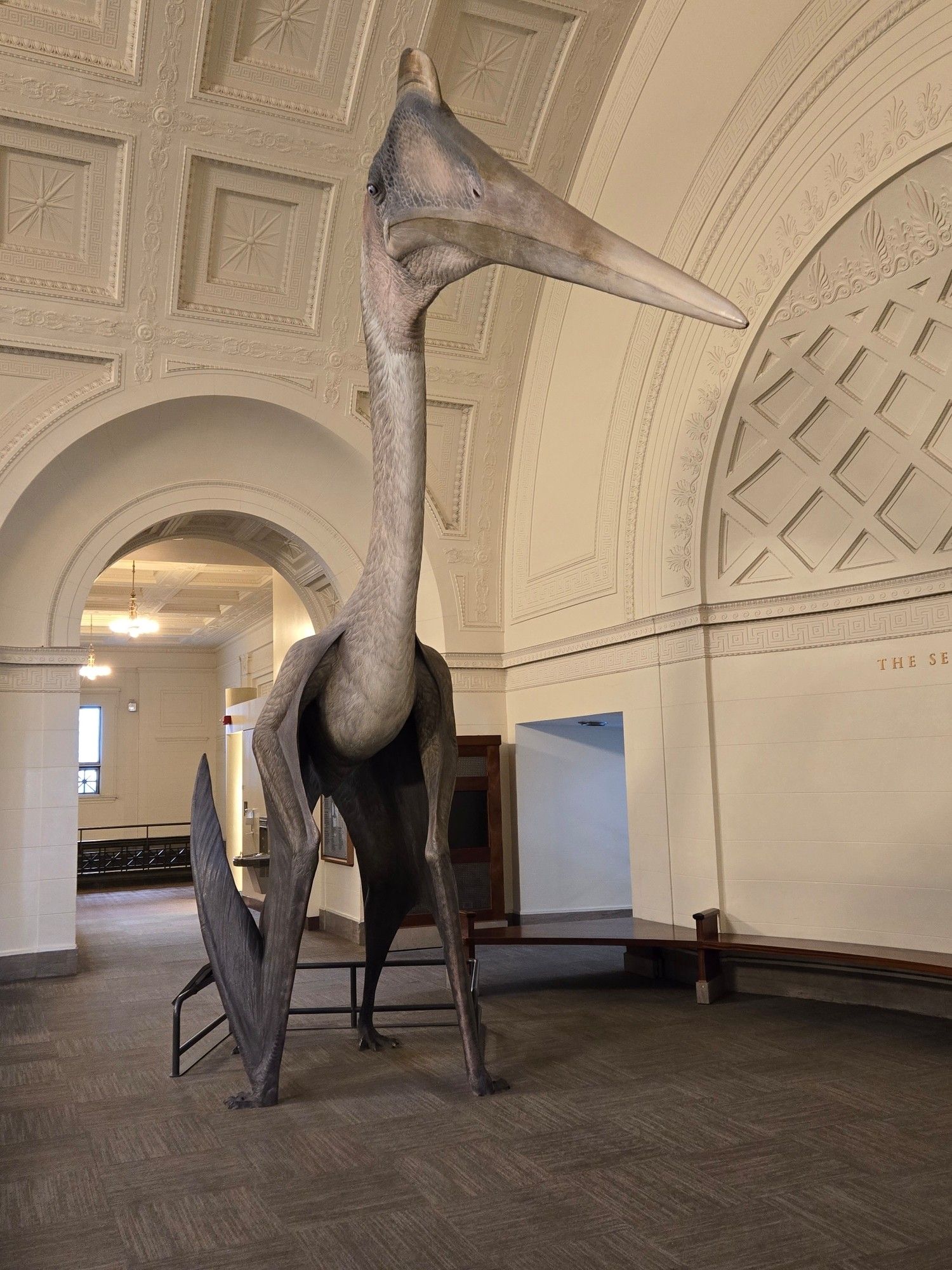 Quetzalcoatlus, just standing around in the hall