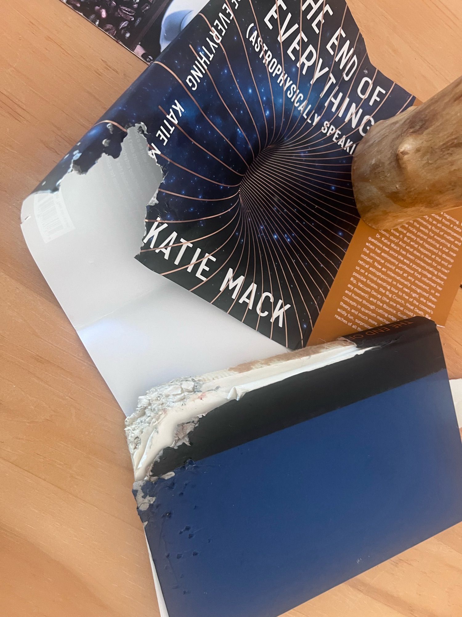 A copy of Dr. Katie Mack’s “The End of Everything (Astrophysically Speaking)” with bite marks in it. Both the book sleeve and book itself are missing a large chunk out of the bottom corner on the binding. The damaged book is lying on display on a light wood table.