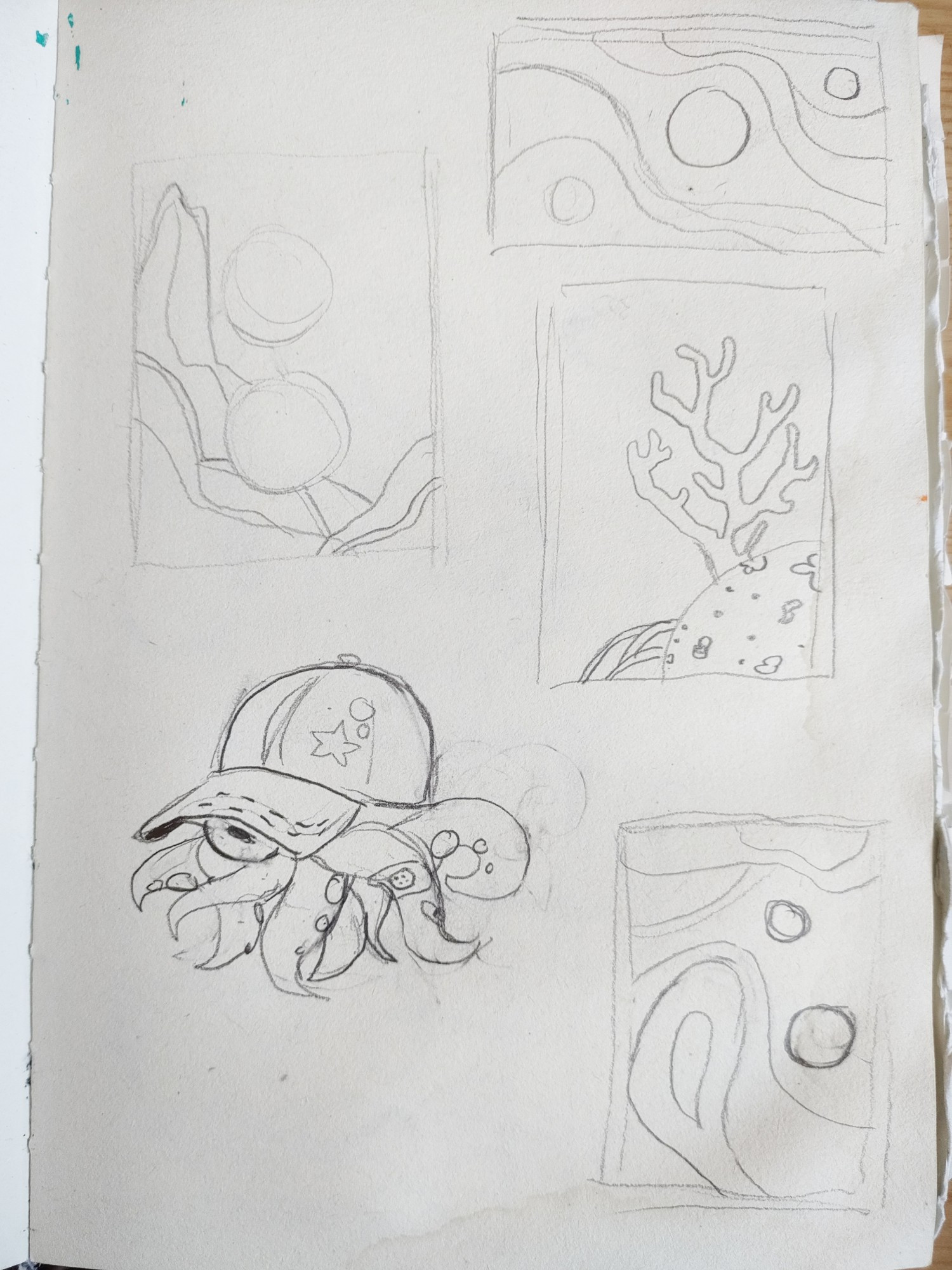 Landscapes, abstract and a super duper cool octopus with a cap on !