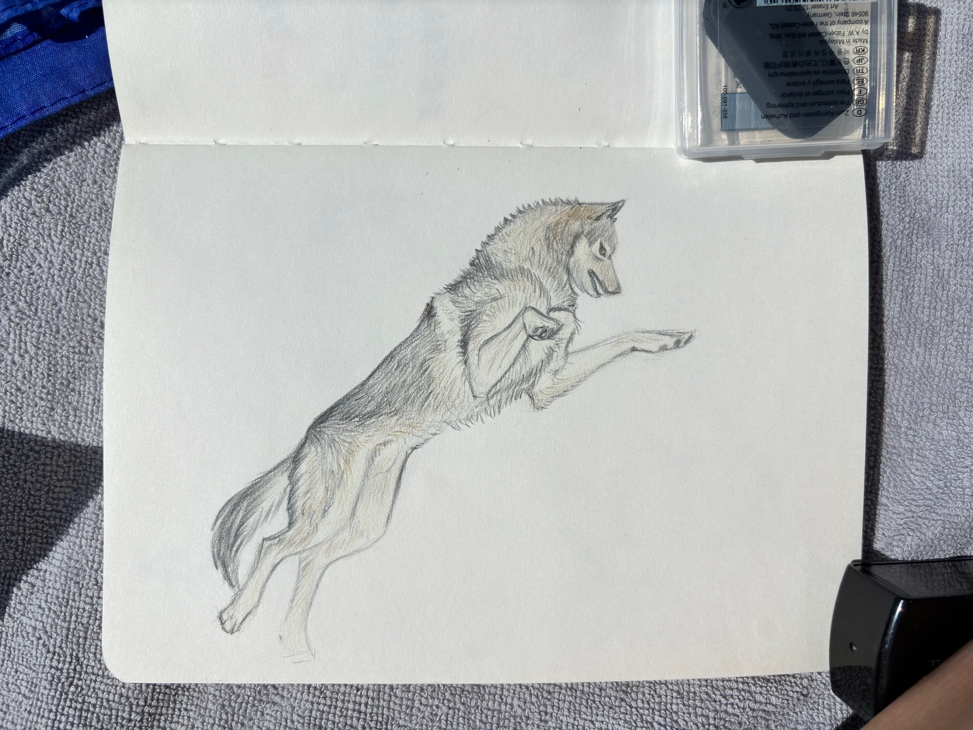 Photo of a sketchbook with a pencil sketch of a grey wolf making a jump