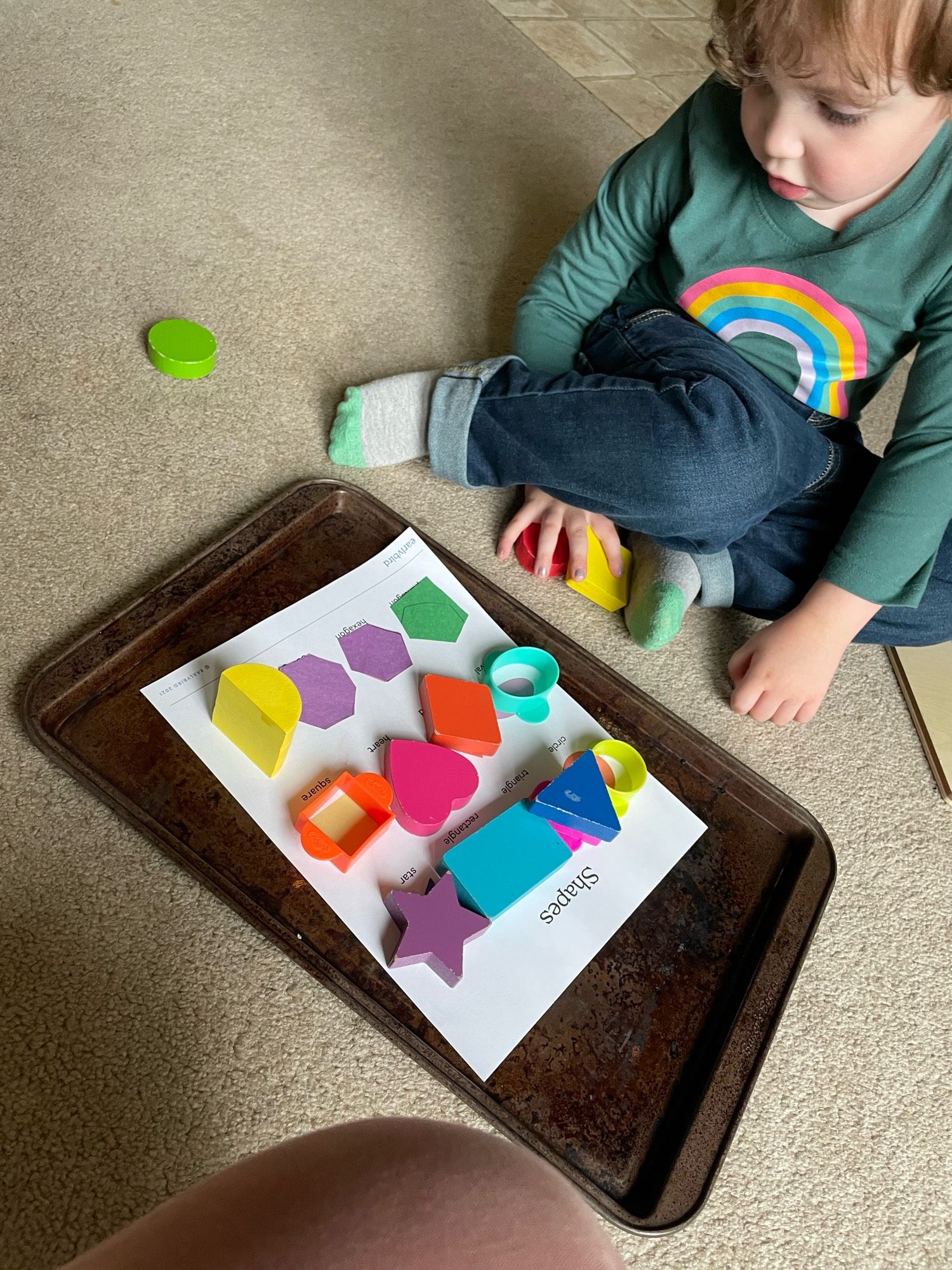 Three year old in teal shirt with a rainbow on it and cuffed blue jeans does a shape sorting activity with toys and a cookie sheet.