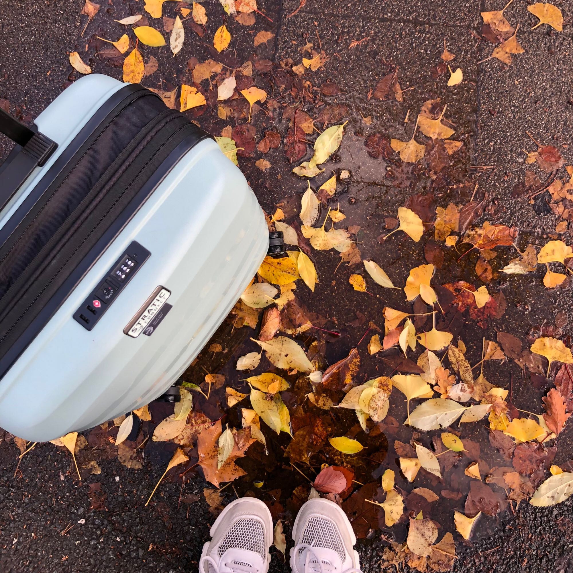 Die Perspektive ist dem Blick auf den Boden nachempfunden: Hier sind die Spitzen der weißen Sneaker der Fotografin, ein mattgrüner Rollkoffer und eine Pfütze voller buntem Herbstlaub zu erkennen.