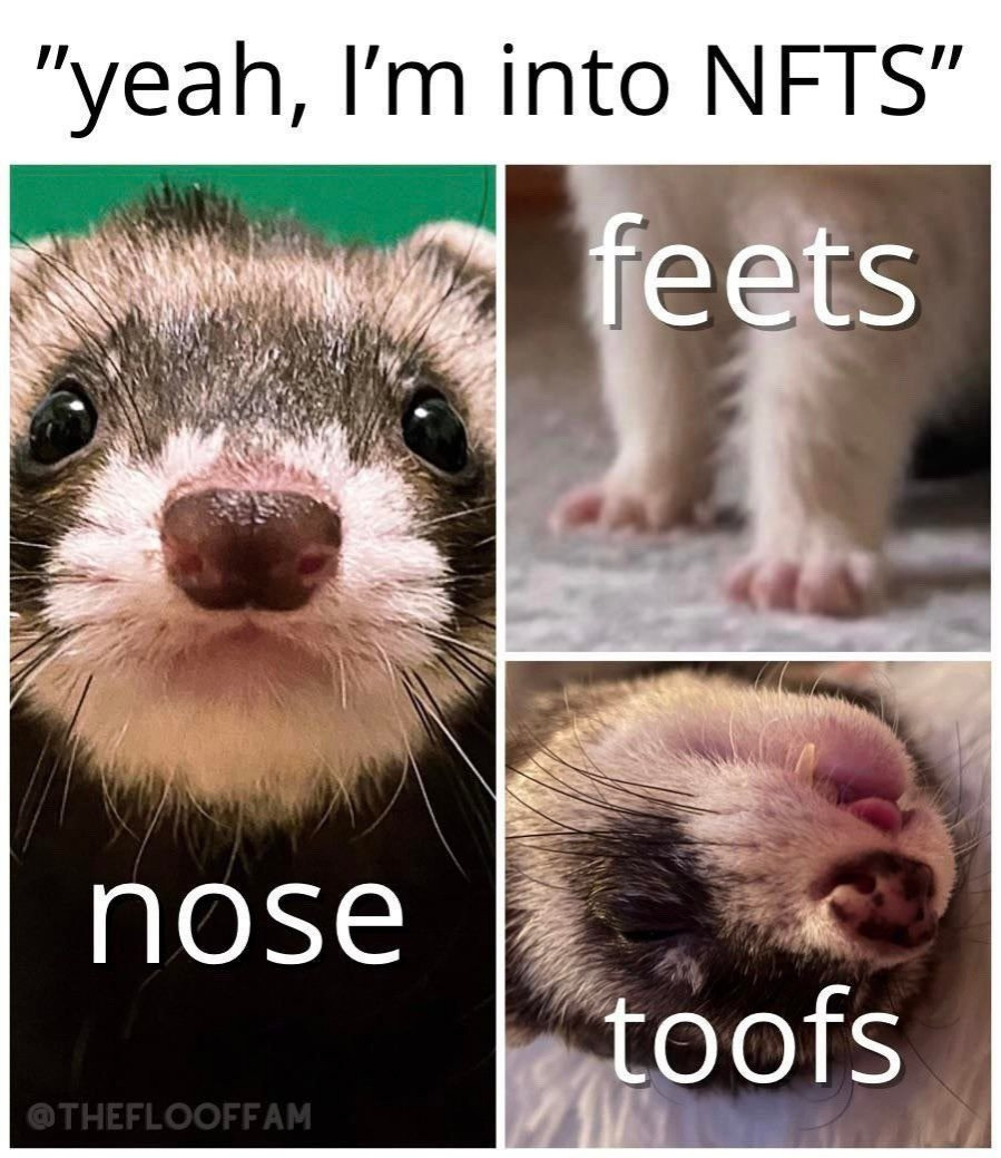 yeah I'm into NFTs

Nose
Feets
Toofs

all text includes a ferret picture