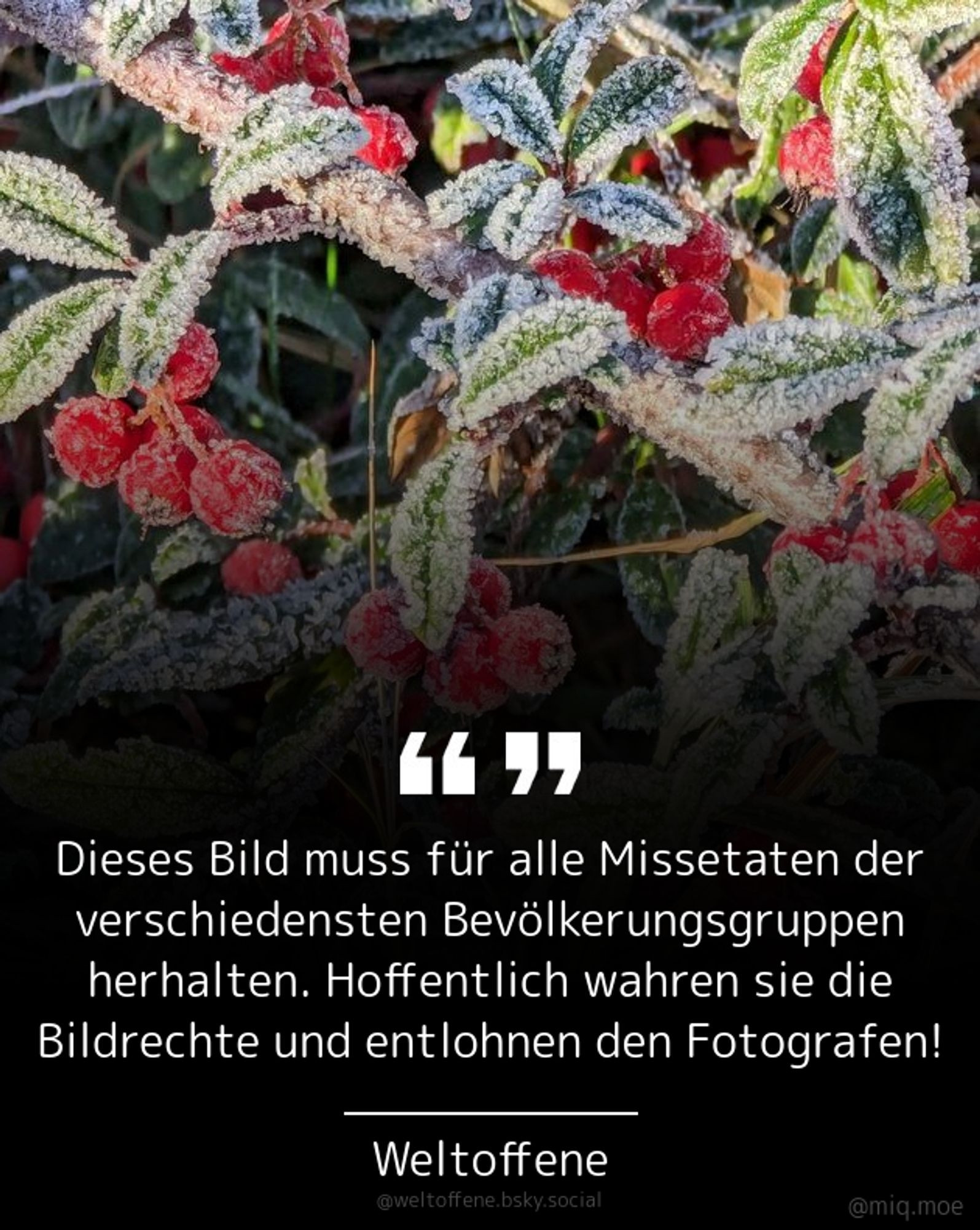 miq zitatkachel der boomerin weltoffene dieses Bild muss für alle Missetaten der verschiedensten Bevölkerungsgruppen herhalten. hoffentlich wahren sie die Bildrechte und entlohnen den Fotografen