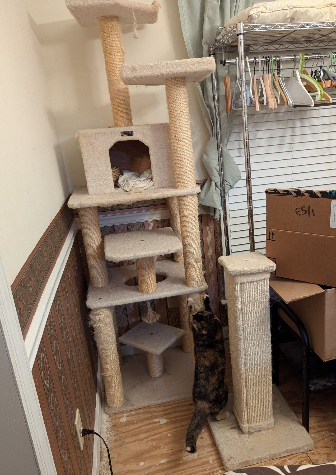 A large cream colored fleece and sisal cat tree.  It's about 78 x 30 x 30" in total. A 10-pound shortie tortie scratches at the lower-right leg of the tree, reaching up to about 24 inches.  The sisal is worn on the bottom and topmost pillars, but not unraveling.  The fleece is not visibly frayed.  Some cat hair is matted on the front edges.

Skipping levels no one uses, a platform projects out from the front around the 36" mark. Above it, there's a condo box around 42 inches.  From there, two pillars project upwards to 65 and 75 inches, and on top of each one, a low-walled pentagonal platform is attached by one bolt.  It's not visible in this image, but the top platforms do have to be tightened periodically.

The scene is the corner of a dining room with the drapes tied up and carpet ripped out.  A scratcher, an empty clothing rack, and some large boxes sit to the right of the cat tree.