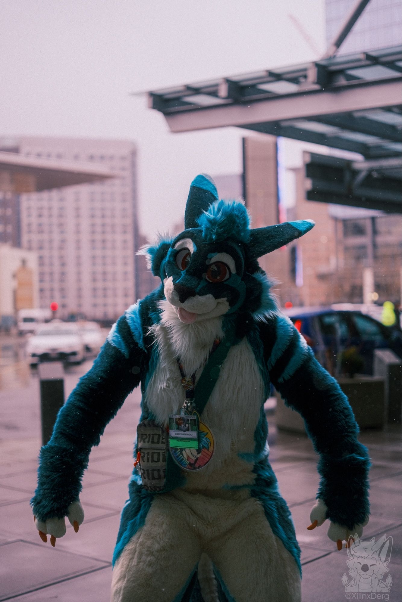 Idiot looking at you while dressed in an animal costume