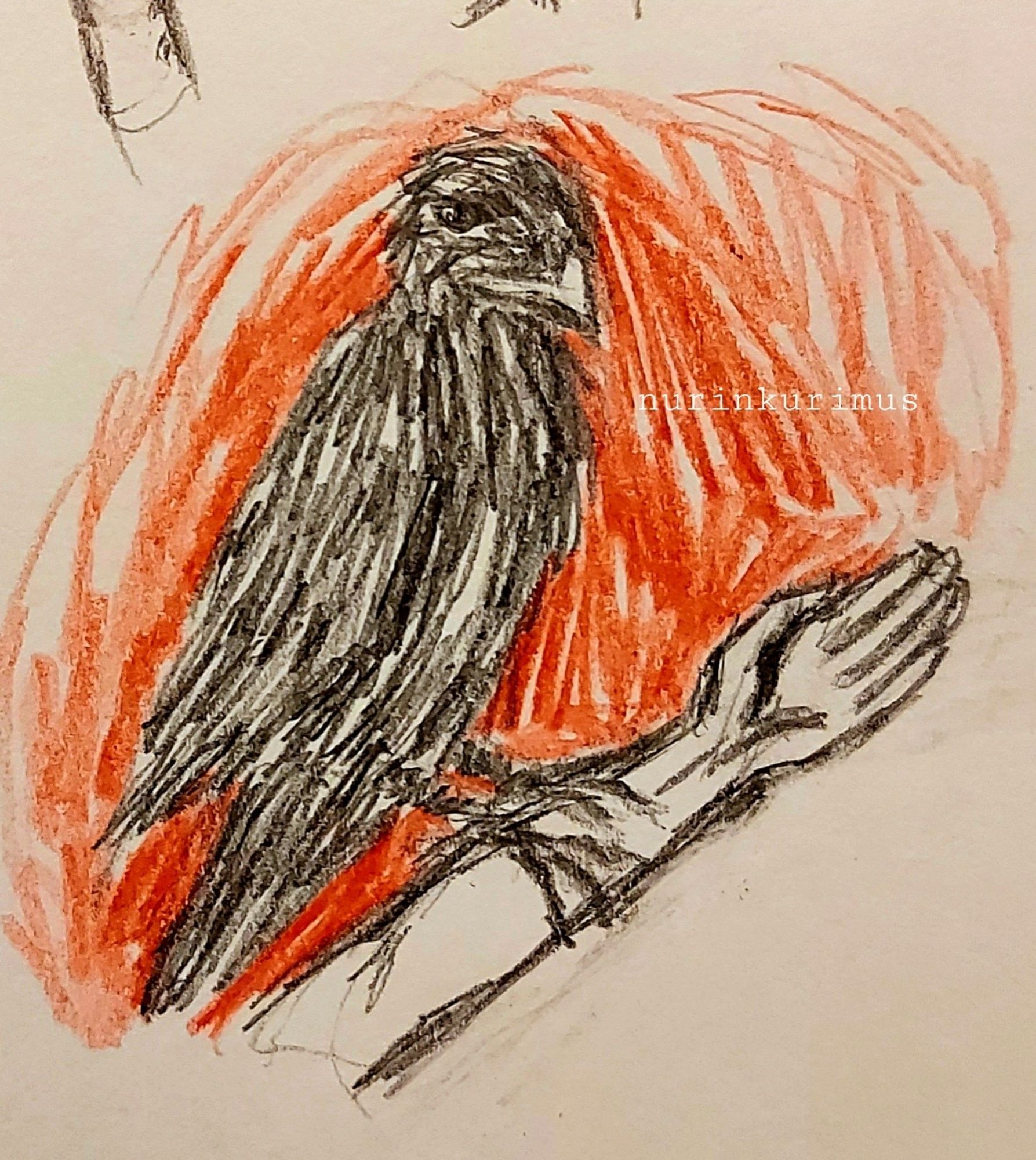 Drawing of a black bird standing on someone's arm. The background is solid red that fades out at the edge.