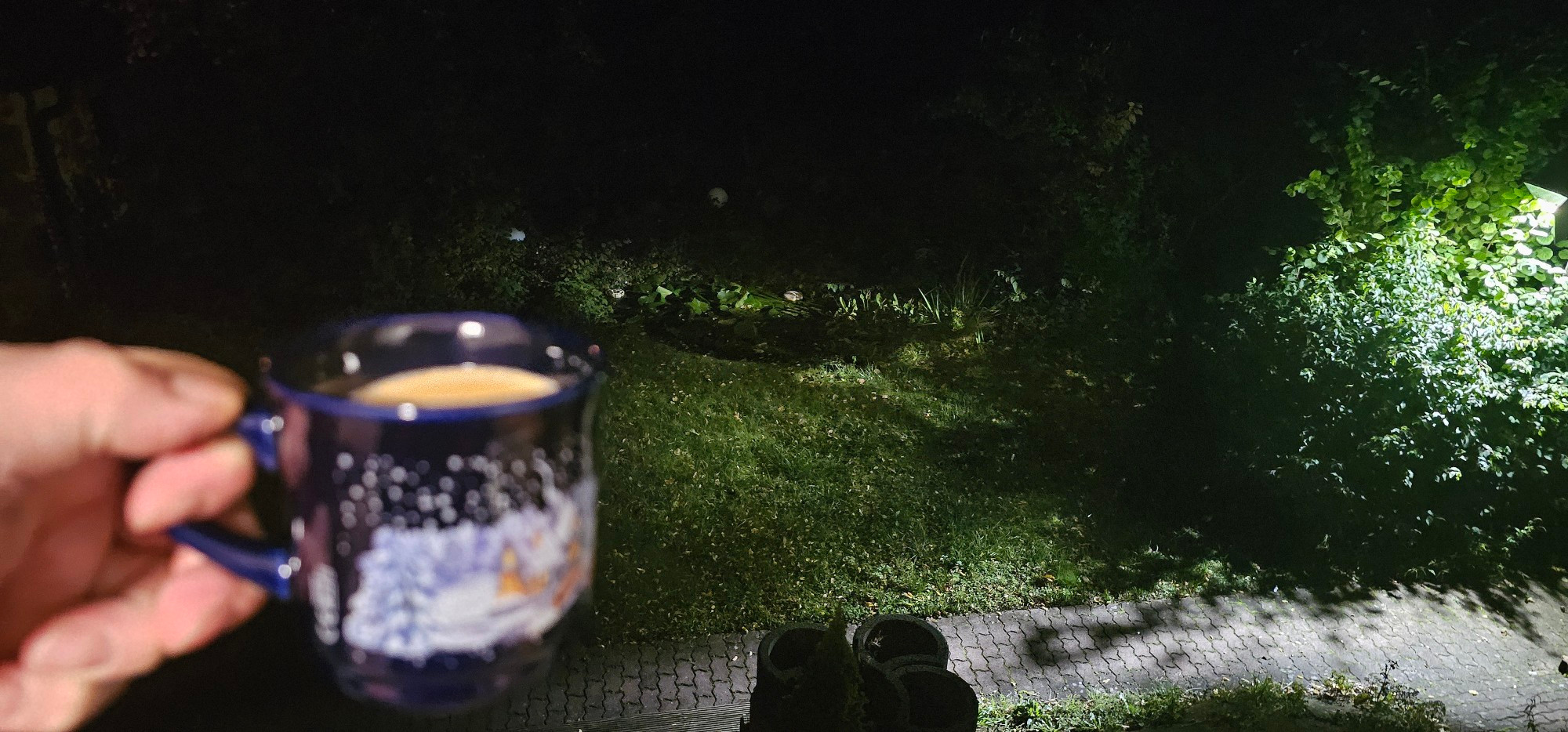 Kaffeetasse im Vordergrund und dahinter Gartenteich 