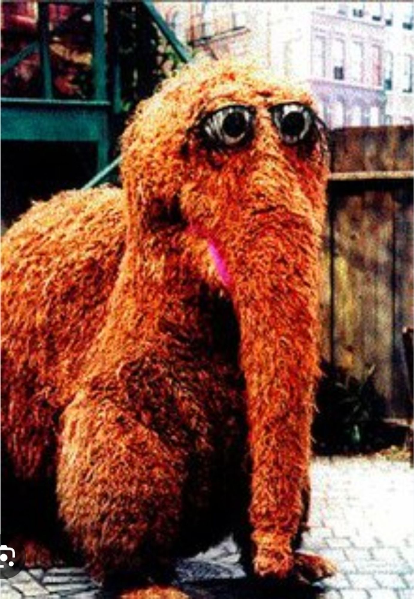 Mr. Snuffleupagus