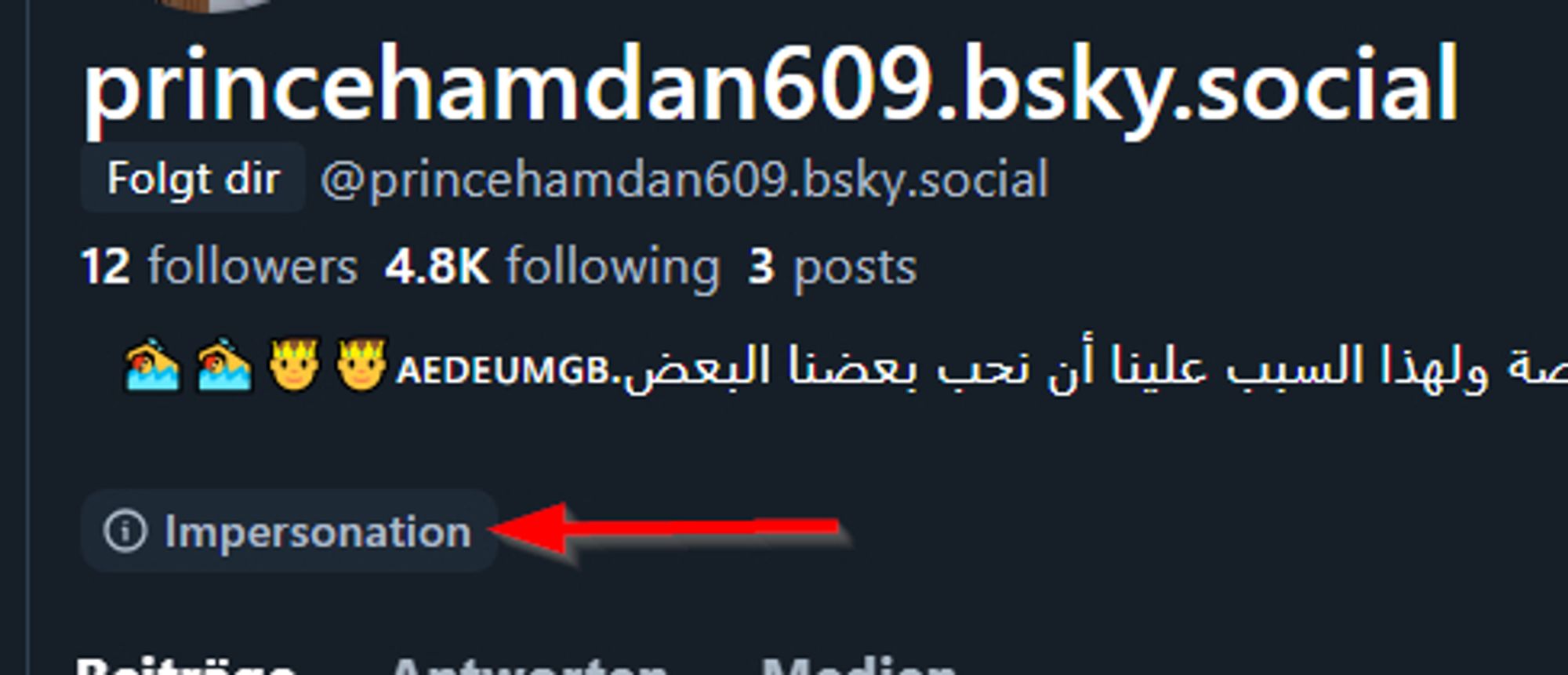 Profilinfo von princehamdan-dings mit dem Verweis von Bluesky, dass "impersonation" vorliegt, der Account also vorgibt jemand zu sein, der er nicht ist.