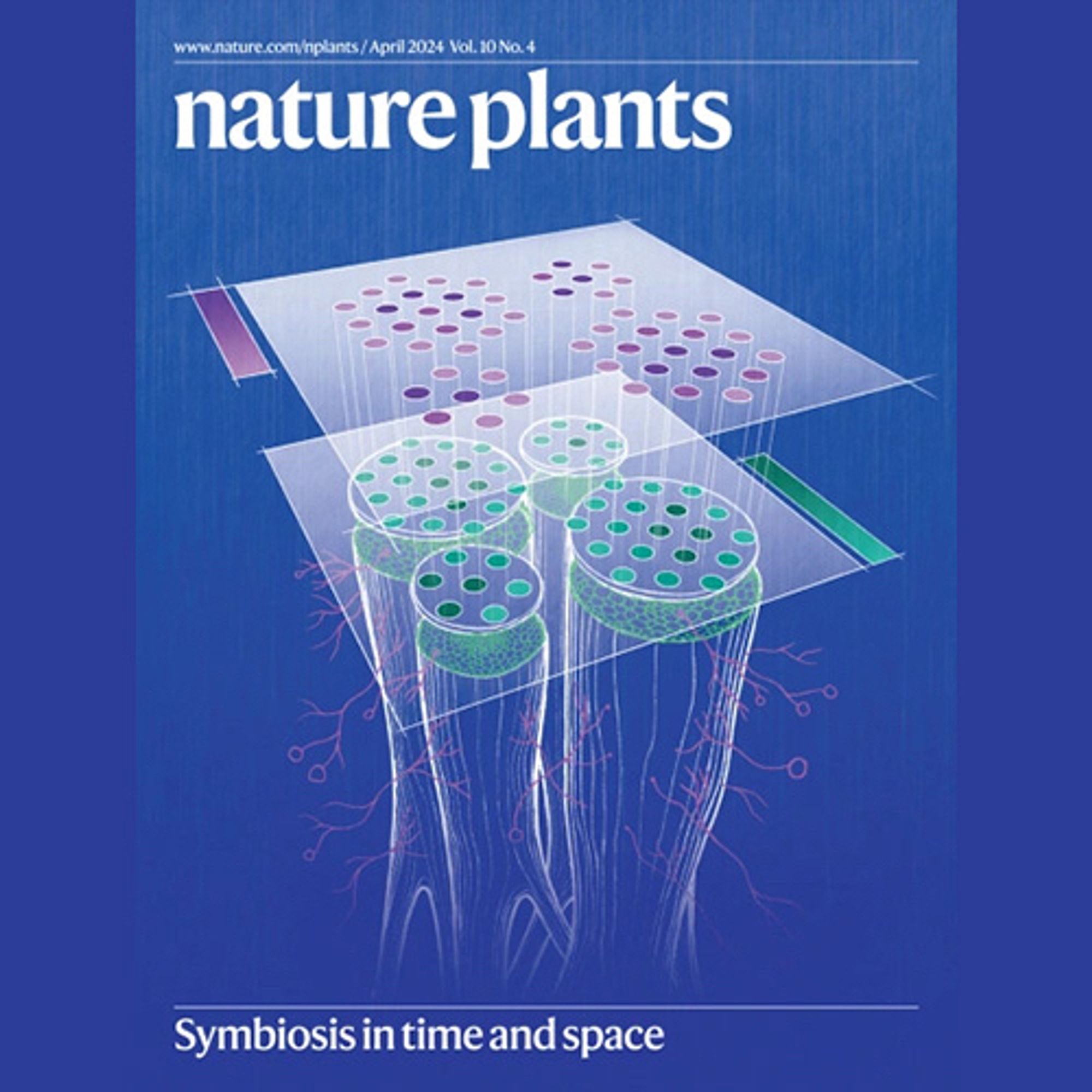 A cover of Nature Plants reads “Symbiosis in time and space” below an illustration of four roots. Two layers of circular dots float at the top of the root system.