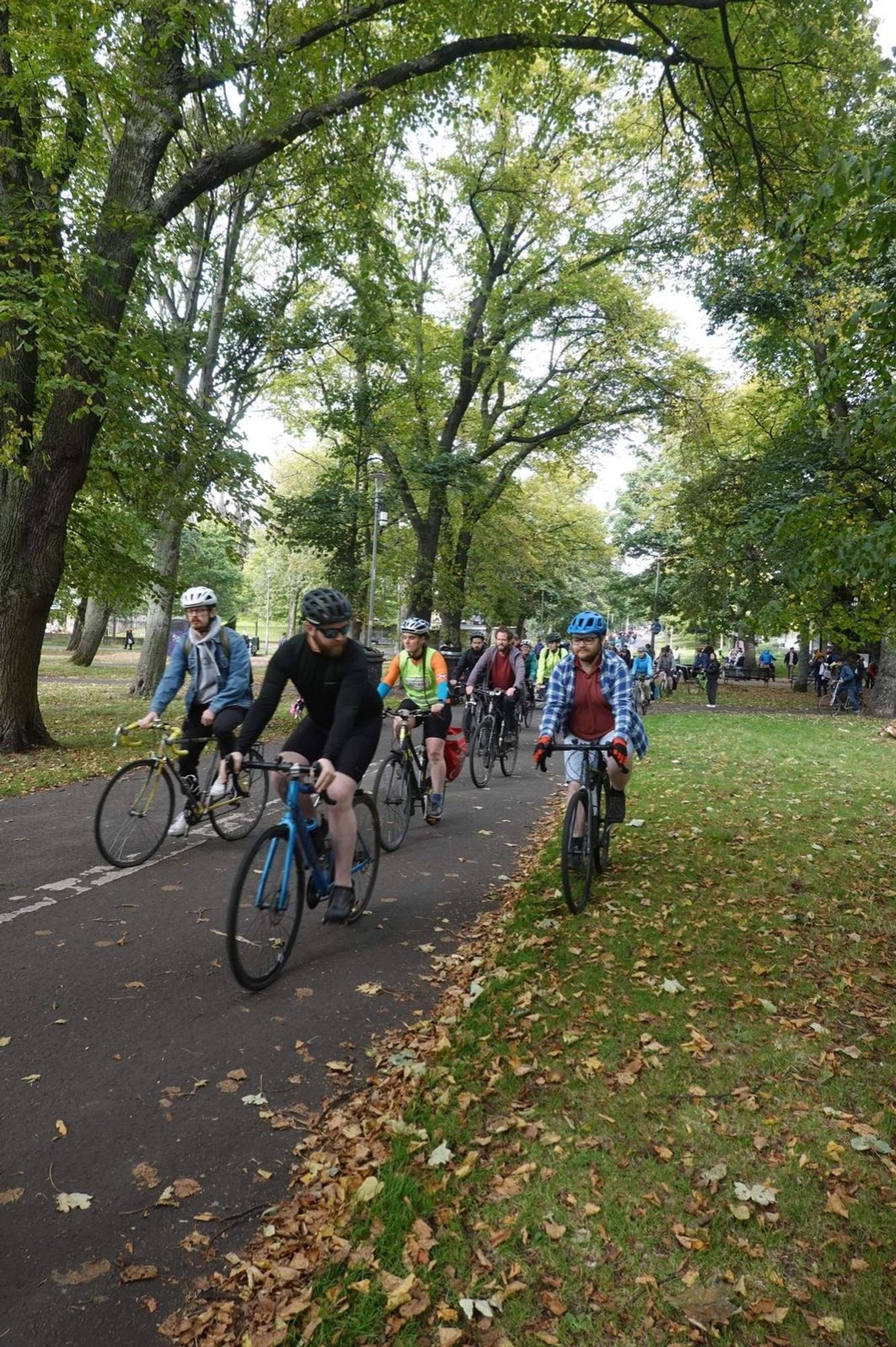 A group of bike riders, some in high Vis, some with helmets, coming towards the photographer under an avenue of trees in an autumnal park.