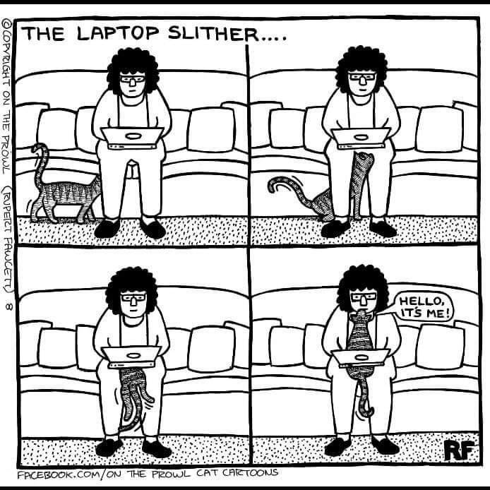 Cartoon: The Laptop Slither

Panel 1: a woman sits on her sofa, typing on her laptop. The cat approaches.
Panel 2: the cat gets between the sofa and her legs, looking up atvthe laptop in its way
Panel 3: the cat wriggles up between the woman's lap and the laptop
Panel 4: the cat is now face to face with the woman, blocking her view of the laptop. The cat says "Hello, it's me!"