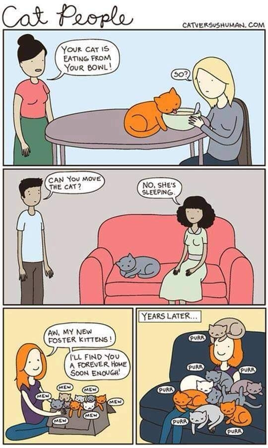 Comic called Cat People

Panel 1: first woman says, "your cat is eating from your bowl!" Second woman says, "so?"
Panel 2: man wants to sit on the sofa but the cat is in the space. Man says, "can you move the cat?" Woman says, "no, she's sleeping."
Panel 3: a woman is sitting on the floor with a large box, filled with kittens. "Mew mew mew mew" Woman says, "ah, my new foster kittens!  I'll find you a forever home soon enough!"
Panel 4: years later, the same woman is sitting smiling, covered in purring cats.