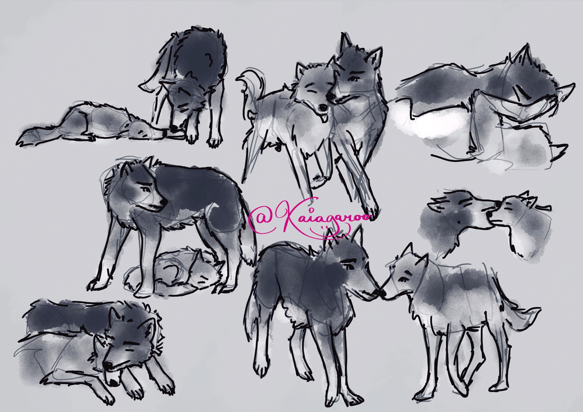 sketch page with wolf niecest in various poses