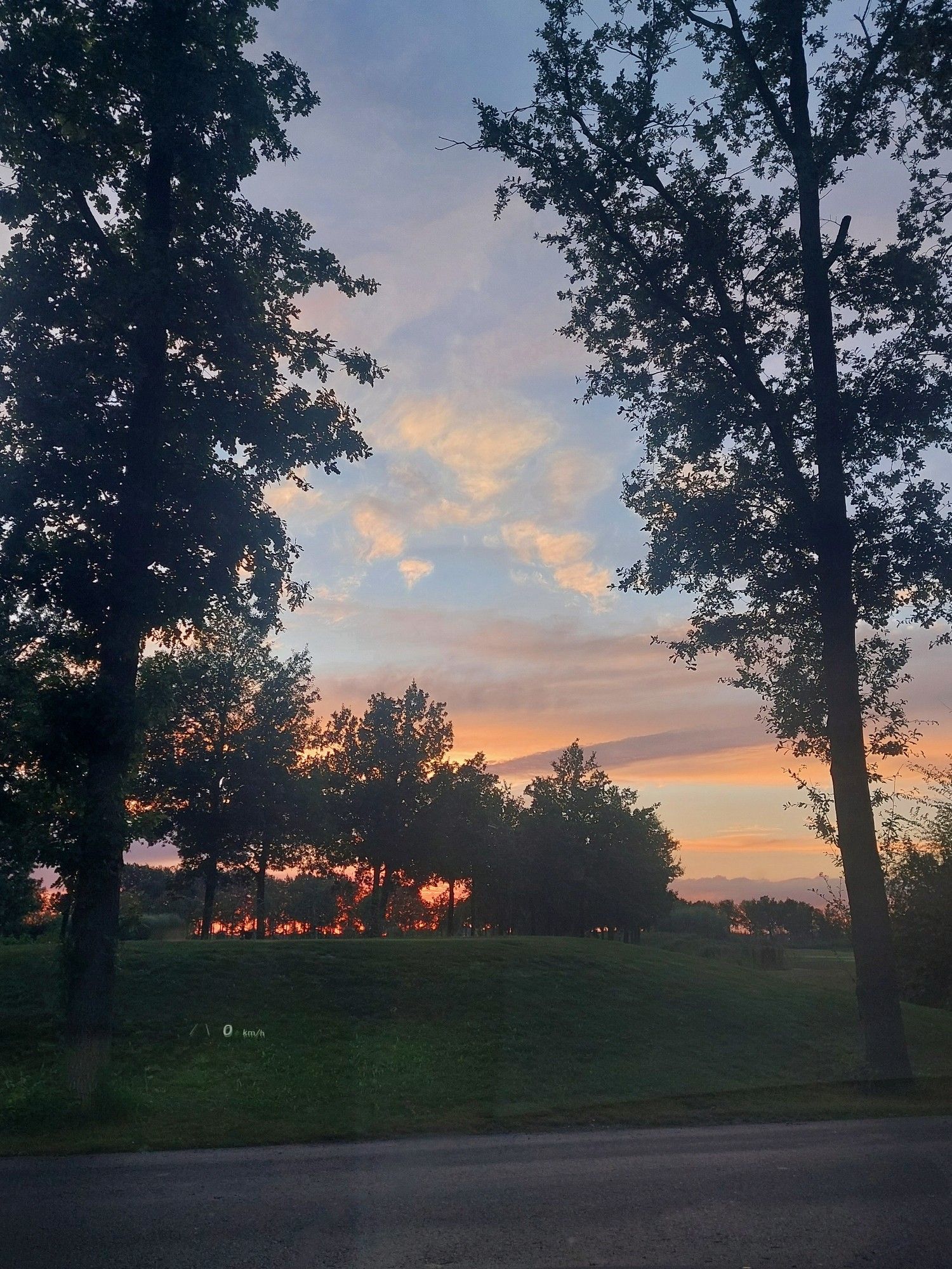 Ondergaande zon tussen twee bomen door..