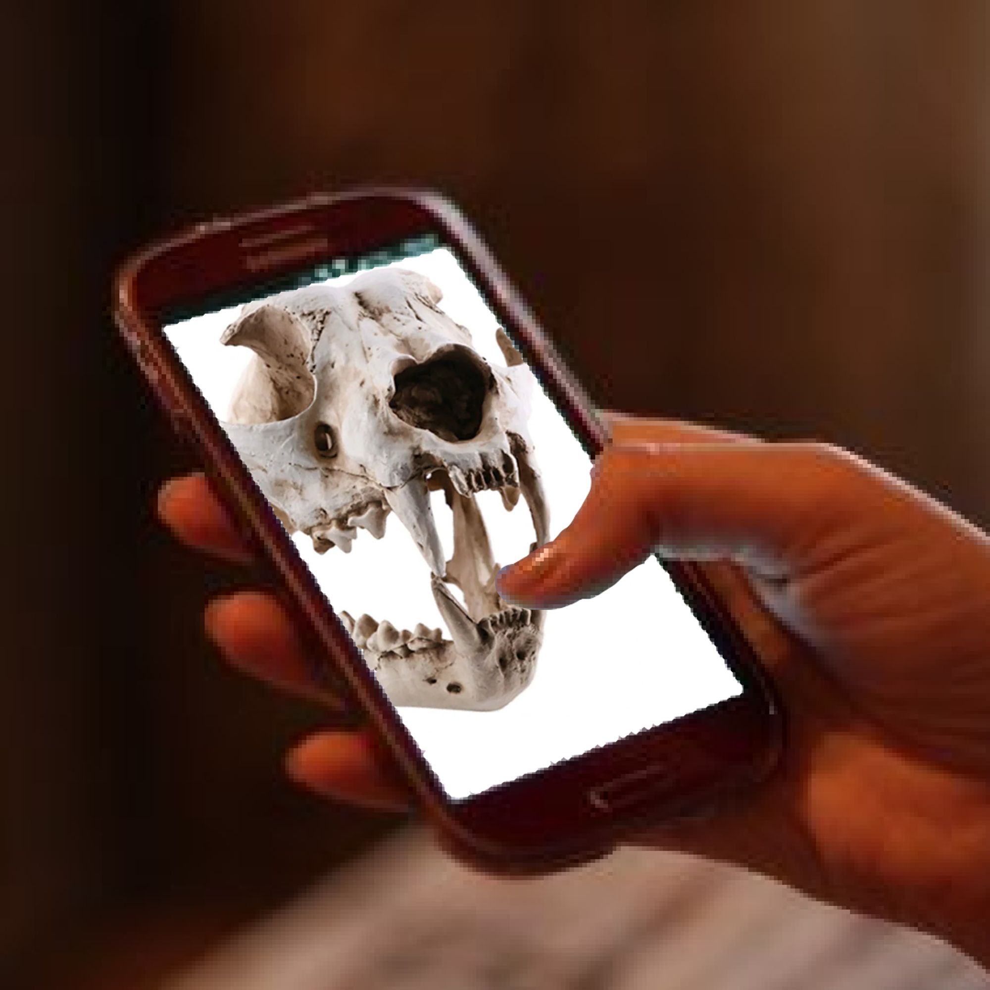 A human hand holding  smartphone device with a canine skull "smiling" through the screen from a white background.