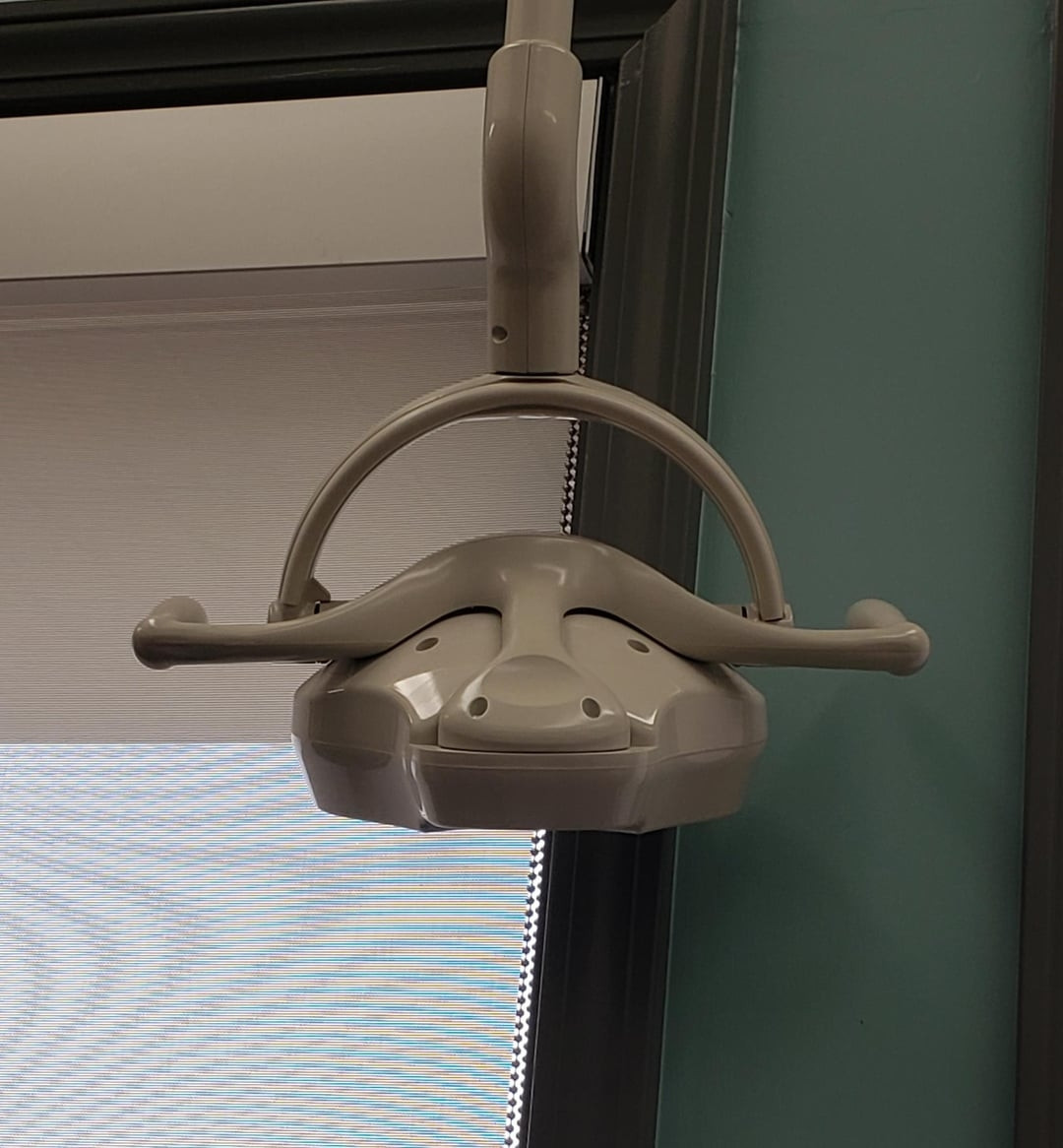 a third view of the water buffalo exam light, now "looking" directly at the camera and smiling.