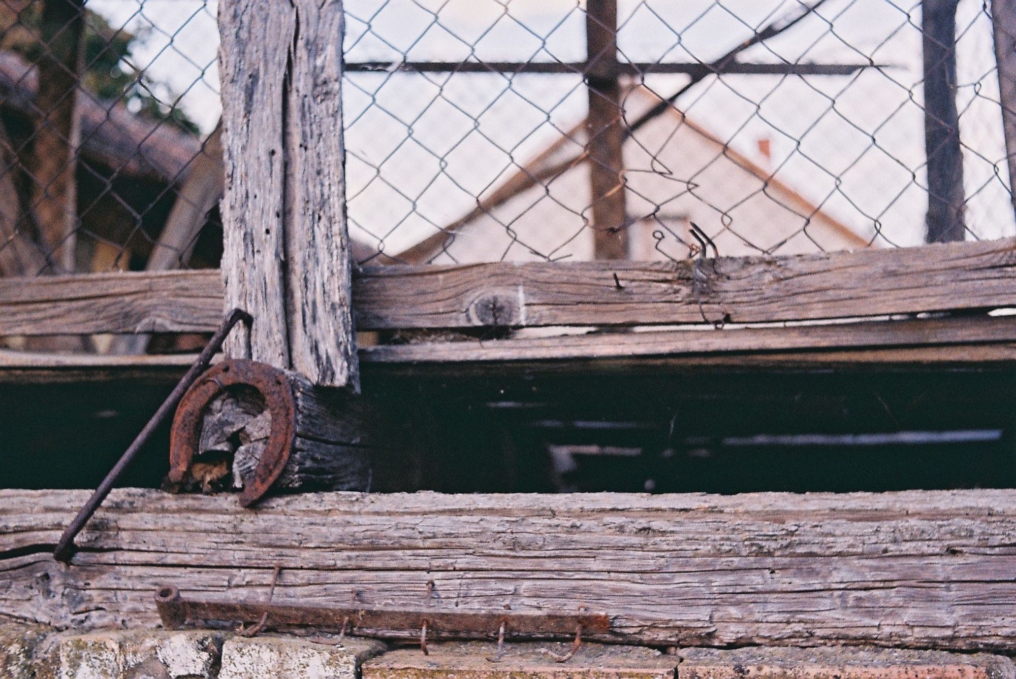 A rusty old horseshoe hangs on my old barn.