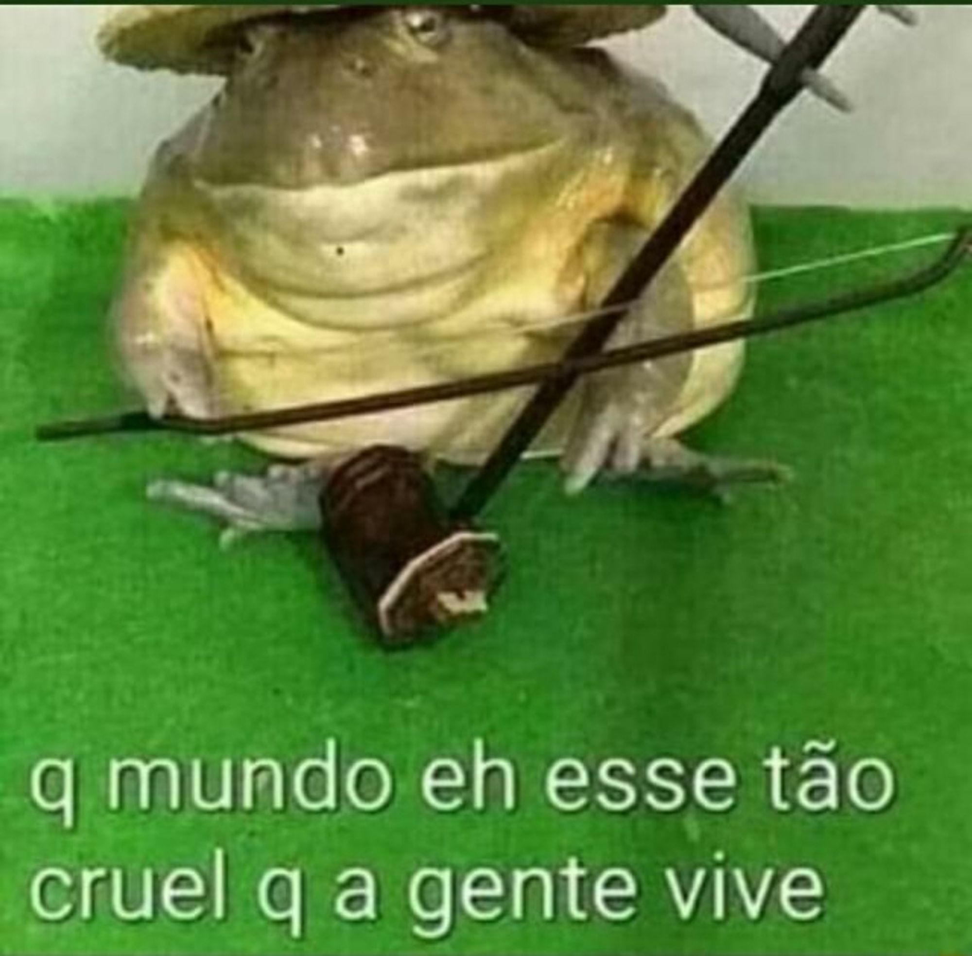 Foto de sapo com a legenda q mundo eh esse tão cruel q a gente vive