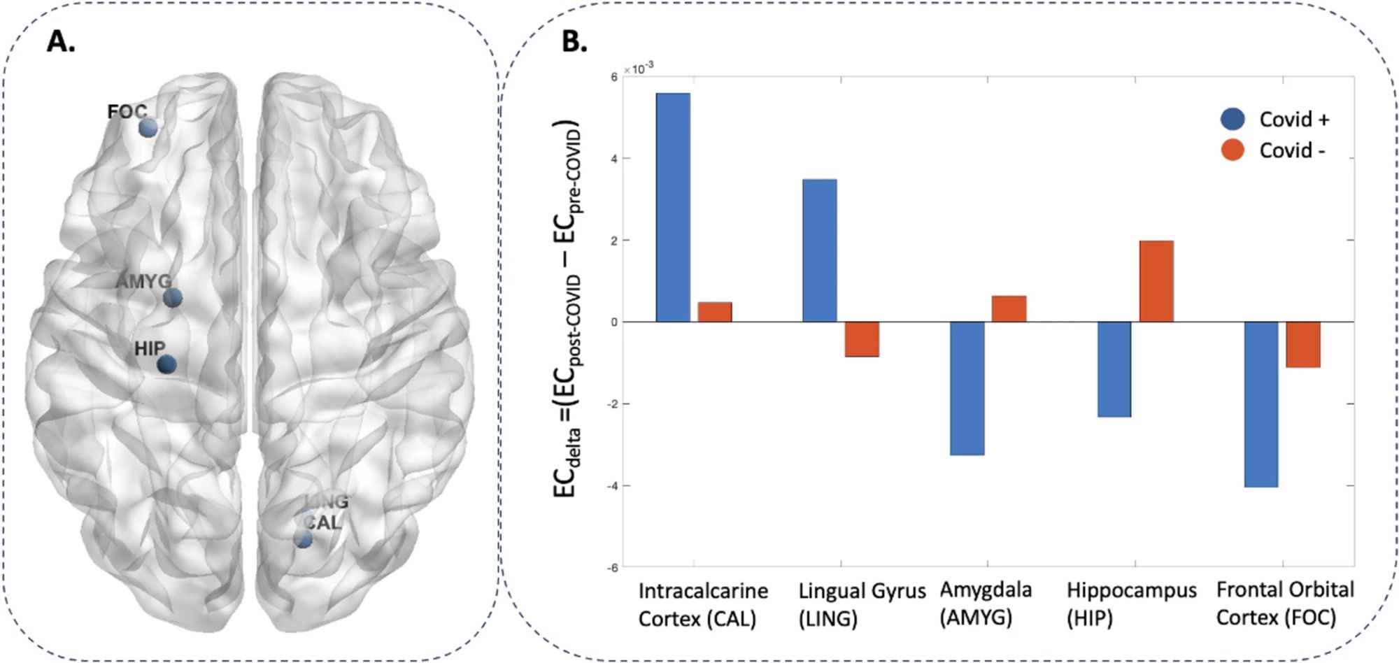 A The identified ROI for which ECdelta (differences in eigenvector centrality (EC) between pre- and post-COVID) differed significantly between PHIME participants with and without COVID-19 (i.e., functional hubs). B The average ECdelta values for each functional hub identified. Blue bars indicate EC values of COVID+ participants, while orange bars indicate COVID− participants.