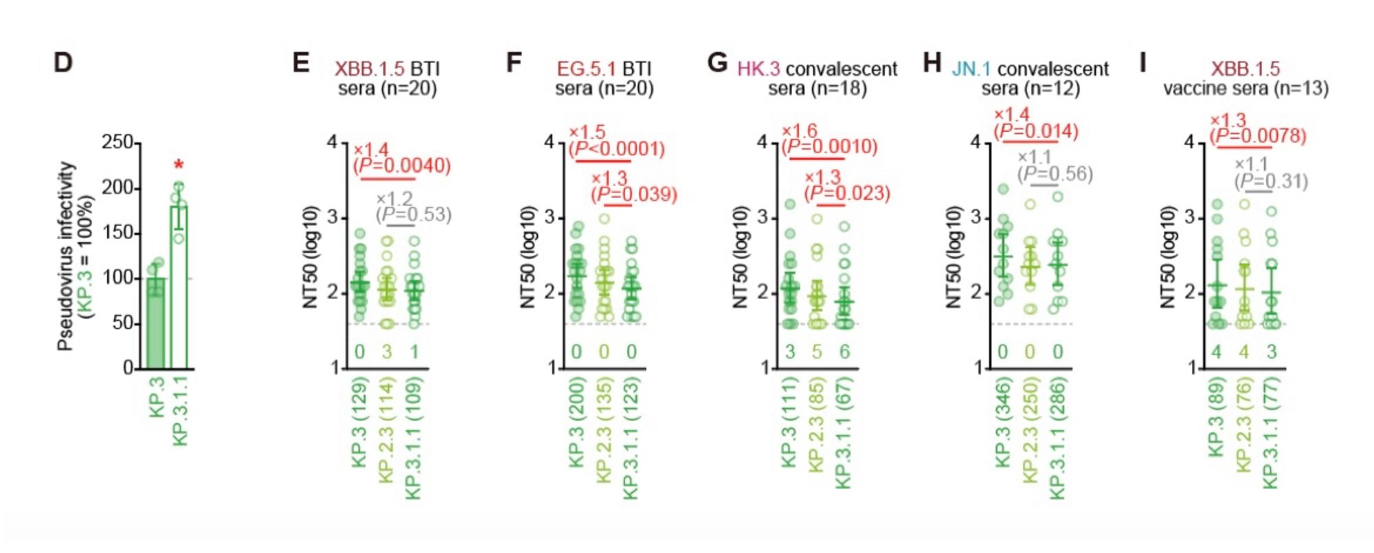 (D) Lentivirus-based pseudovirus assay. HOS-ACE2/TMPRSS2 cells were infected with pseudoviruses bearing each S protein of KP.3 and KP.3.1.1. The amount of input virus was normalized to the amount of HIV-1 p24 capsid protein. The percentage infectivity of KP.3.1.1 is compared to that of KP.3. The horizontal dash line indicates the mean value of the percentage infectivity of KP.3. Assays were performed in quadruplicate, and a representative result of four independent assays is shown. The presented data is expressed as the average + SD. Each dot indicates the result of an individual replicate. Statistically significant differences versus KP.3 is determined by two-sided Student's t tests and statistically significant difference (P < 0.05) versus KP.3 is indicated with red asterisk.