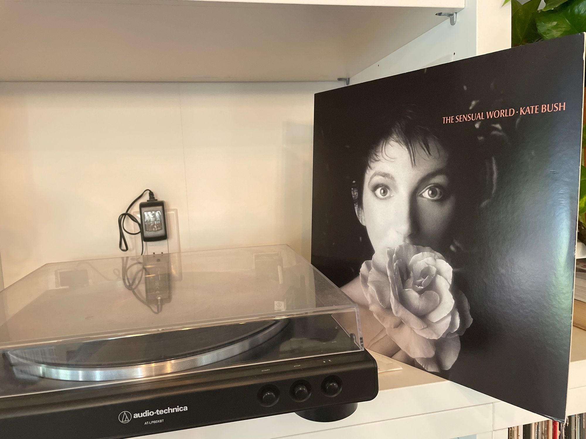 A picture of a turntable and Kate Bush’s The Sensual World on vinyl