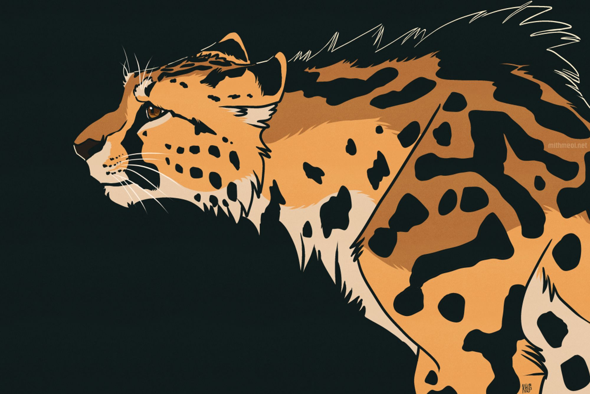 A king cheetah profile.