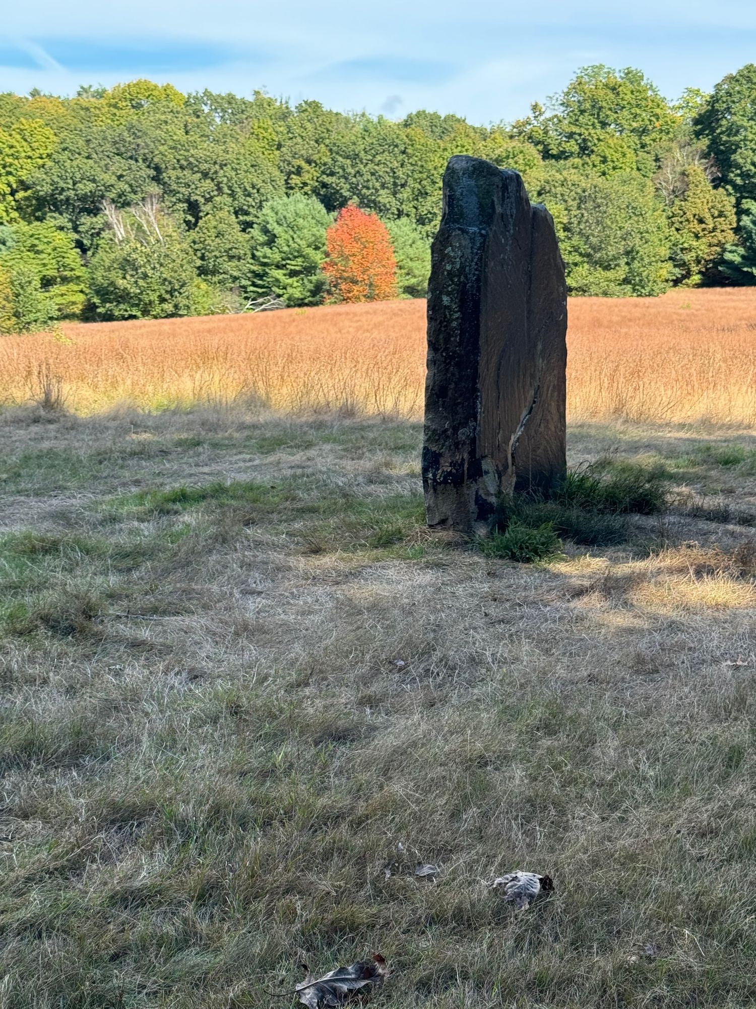 Solitary black slab stone standing in the shadows in the park.  Sunlight falls on the redish orange grass behind it with one red tree among the green in the background.