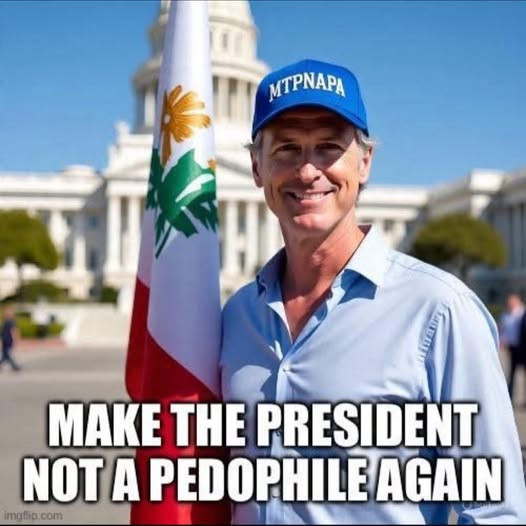 "photo of Gavin Newsom holding a flag, wearing a blue hat with the letters MTPNAPA.  Caption:  "Make the president not a pedophile again."