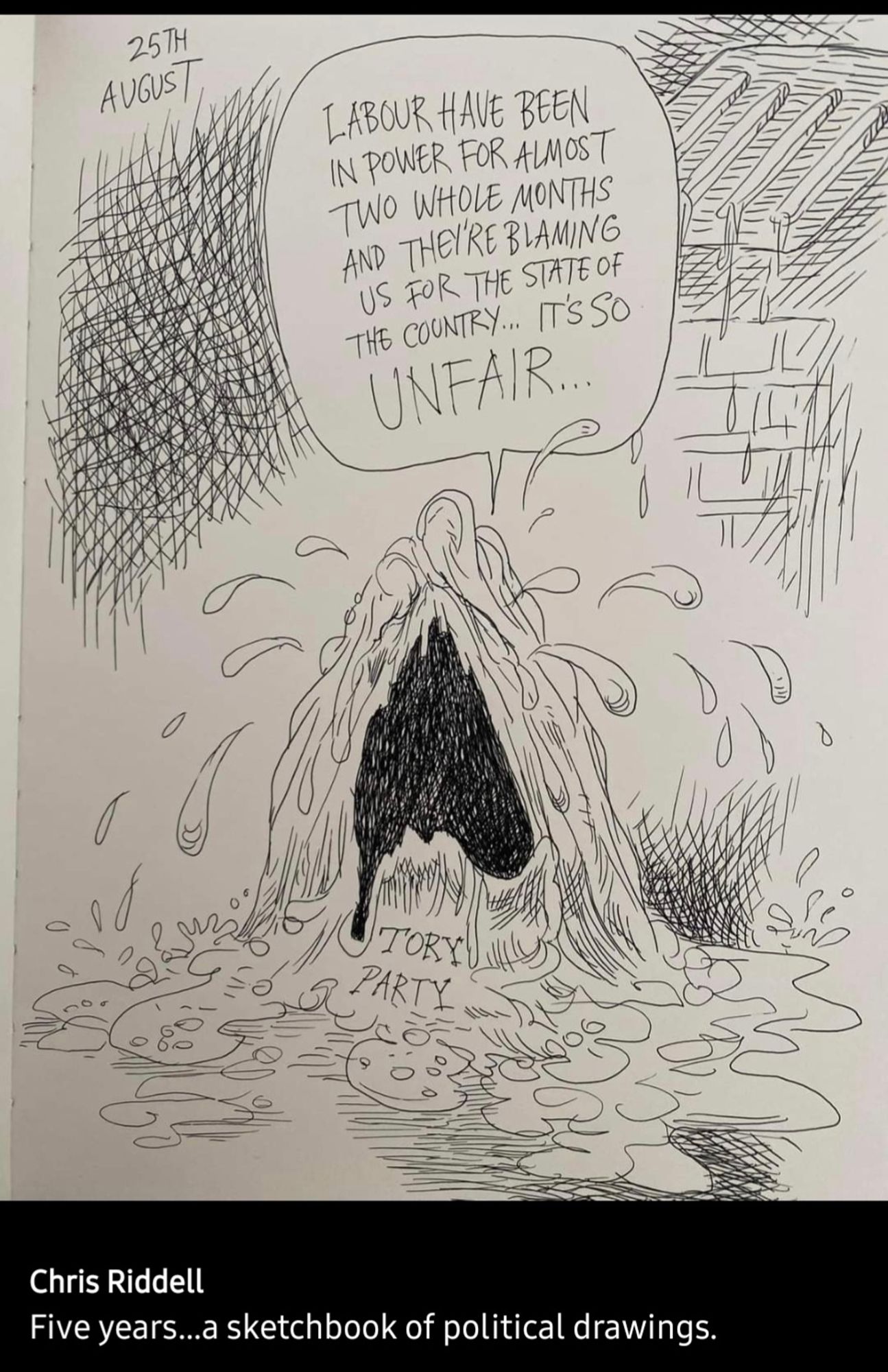 Cartoon of a weeping heap of slime saying,  "Labour have been in power for just two whole months and they're blaming us for the state of the country. It's so UNFAIR!"
Cartoon by Chris Riddell. 25 August 2024