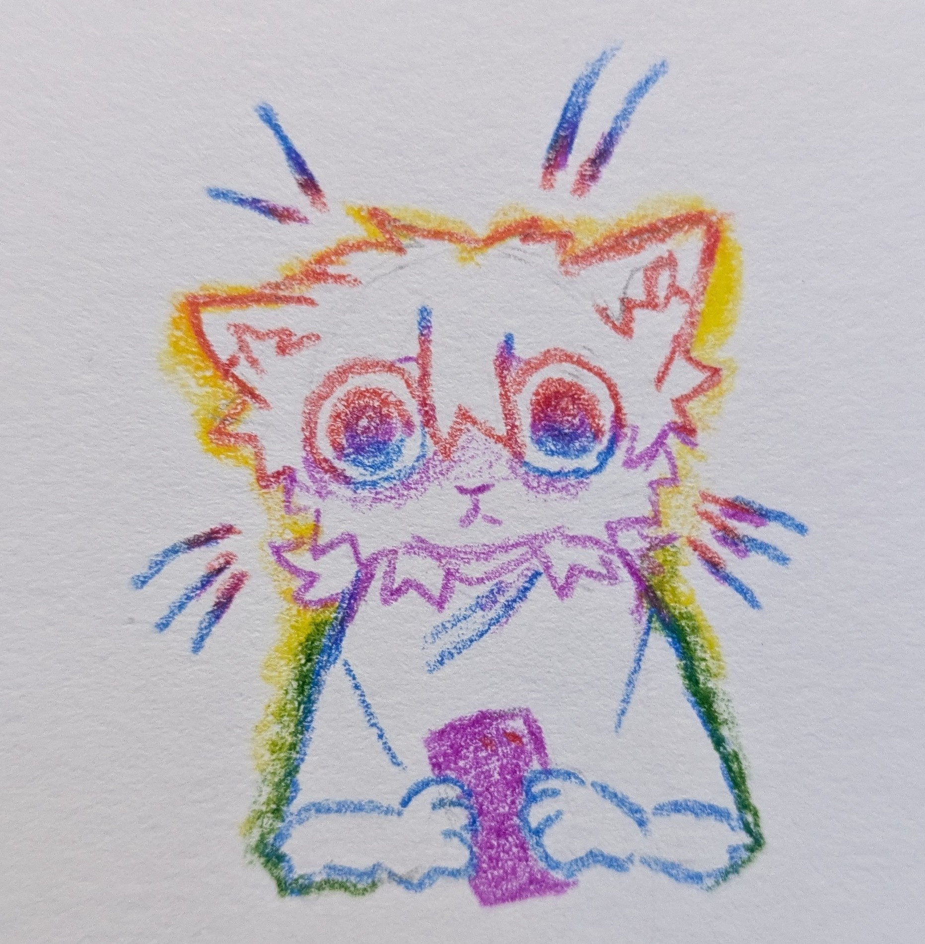 Colourful cat drawing
