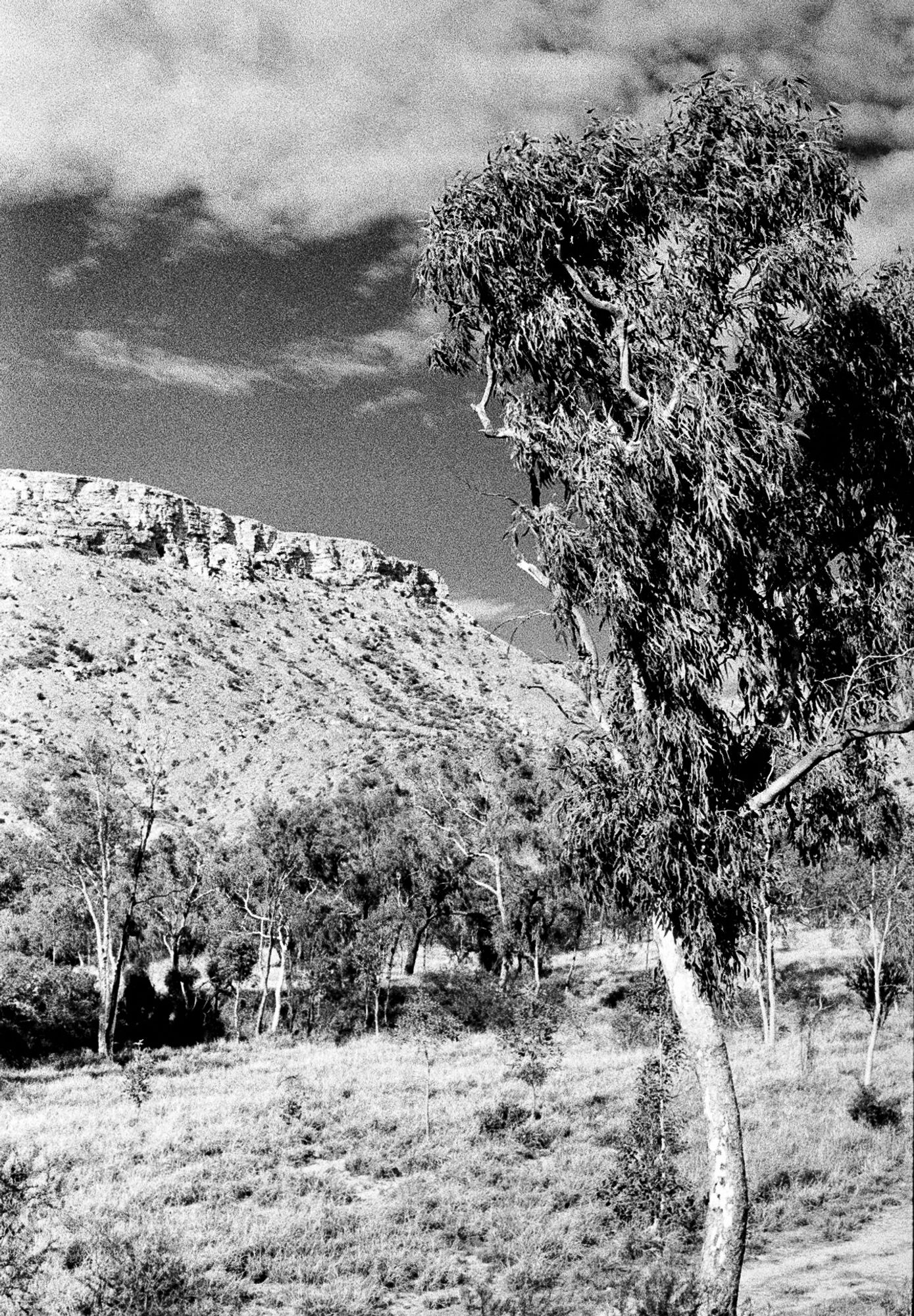 View from Flynn's Grave