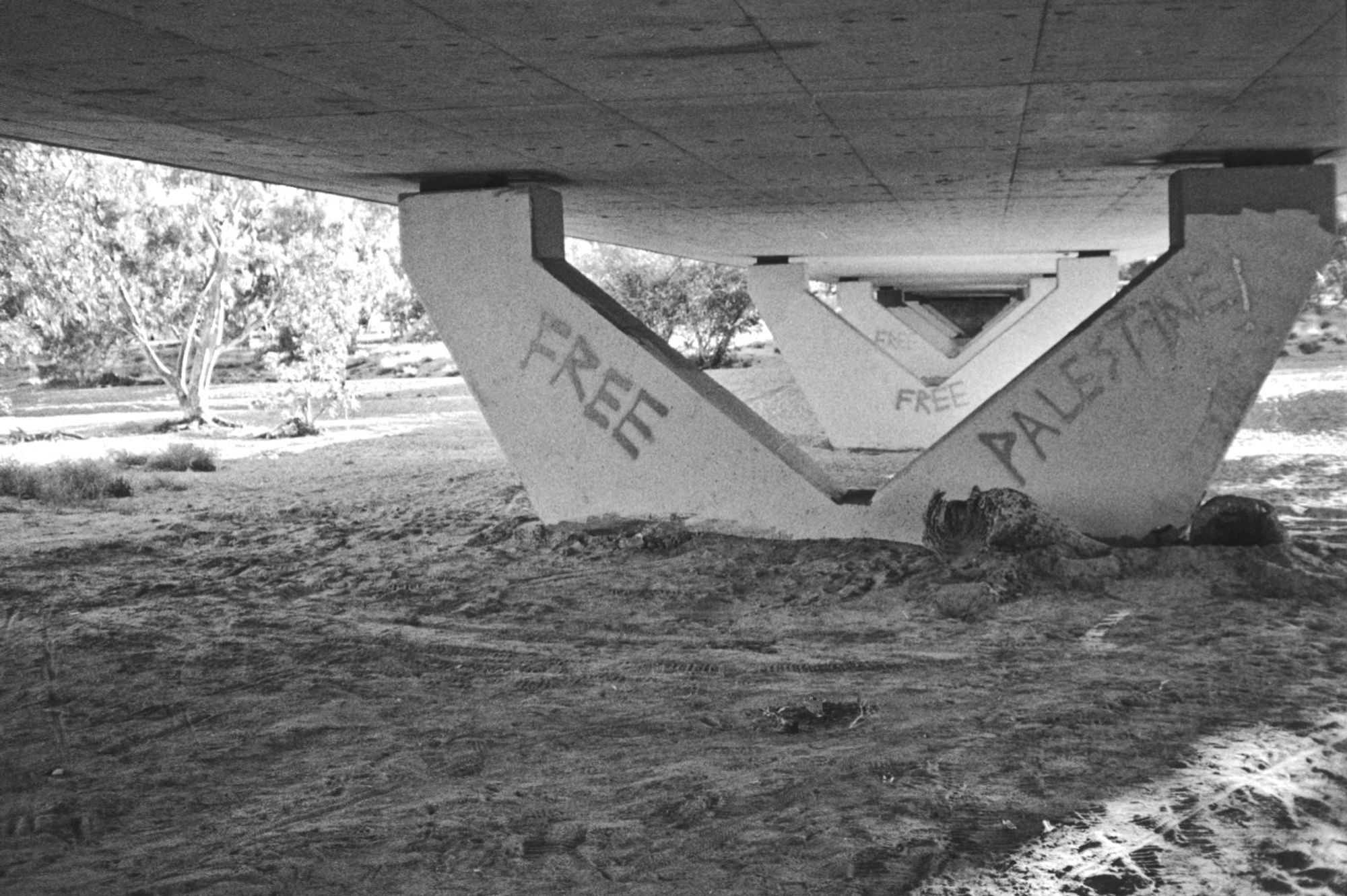 Under the bridge downtown, the Todd "River".