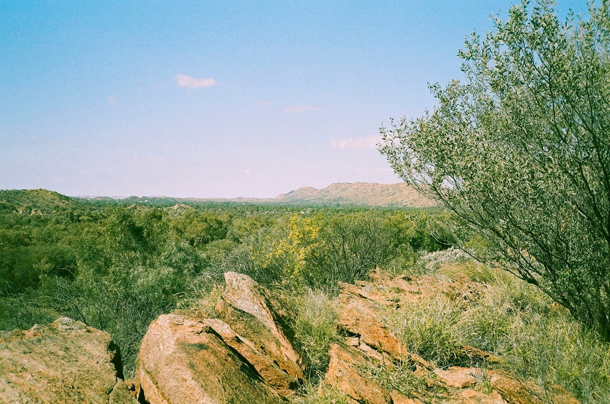 View from Desert Park