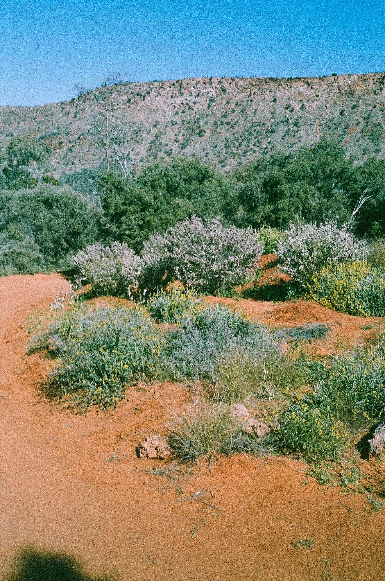 Desert Park, Alice Springs