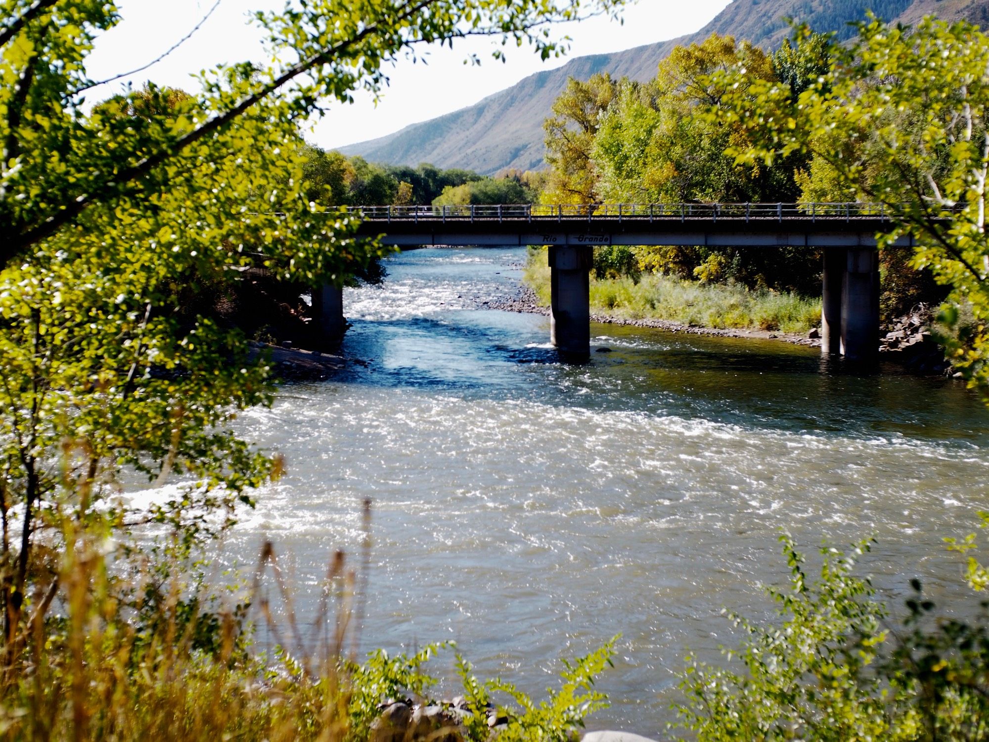 Green and yellow leaves surround a river and a railroad bridge that crosses it.