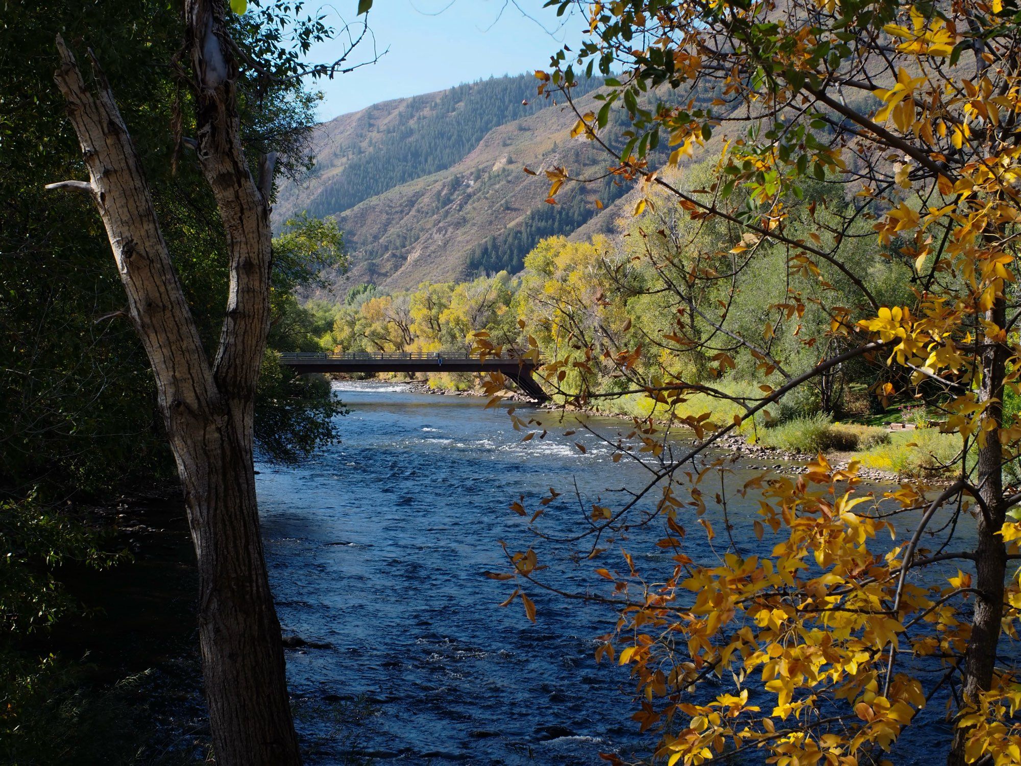 Another view of a railroad bridge. The water is a bright blue. The leaves along the right are yellow and golden.