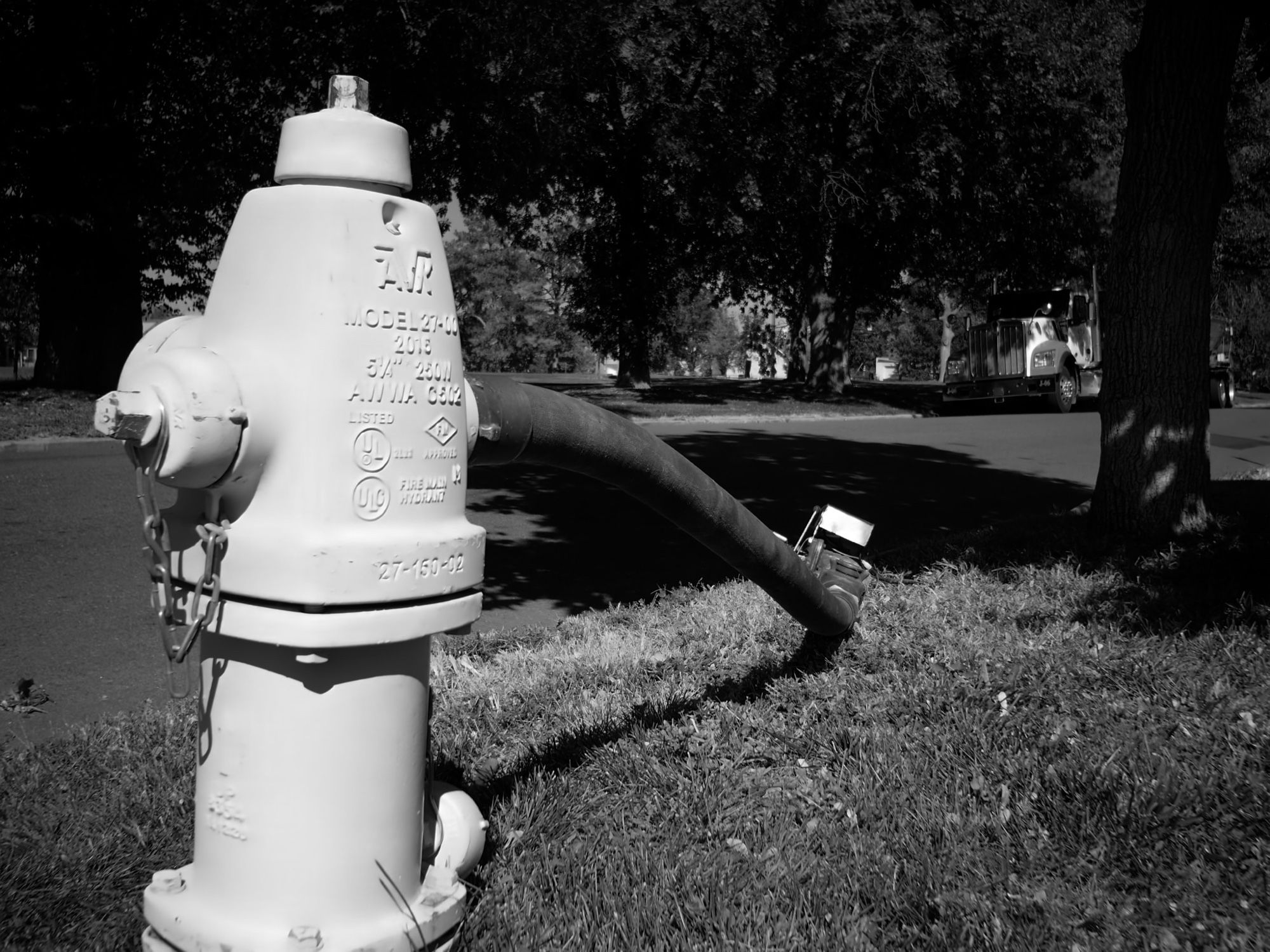 A photo of a fire hydrant with a hose attached to it. The hose just lays in the grass, the end not attached to anything.