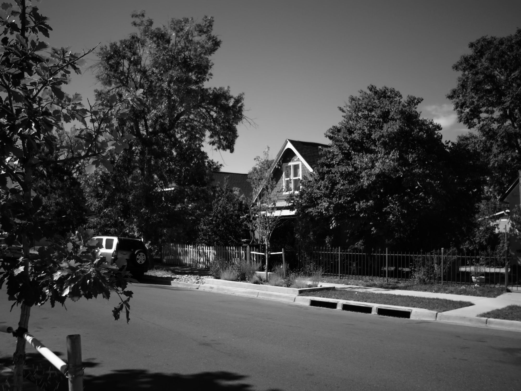 A couple of houses hidden behind trees.