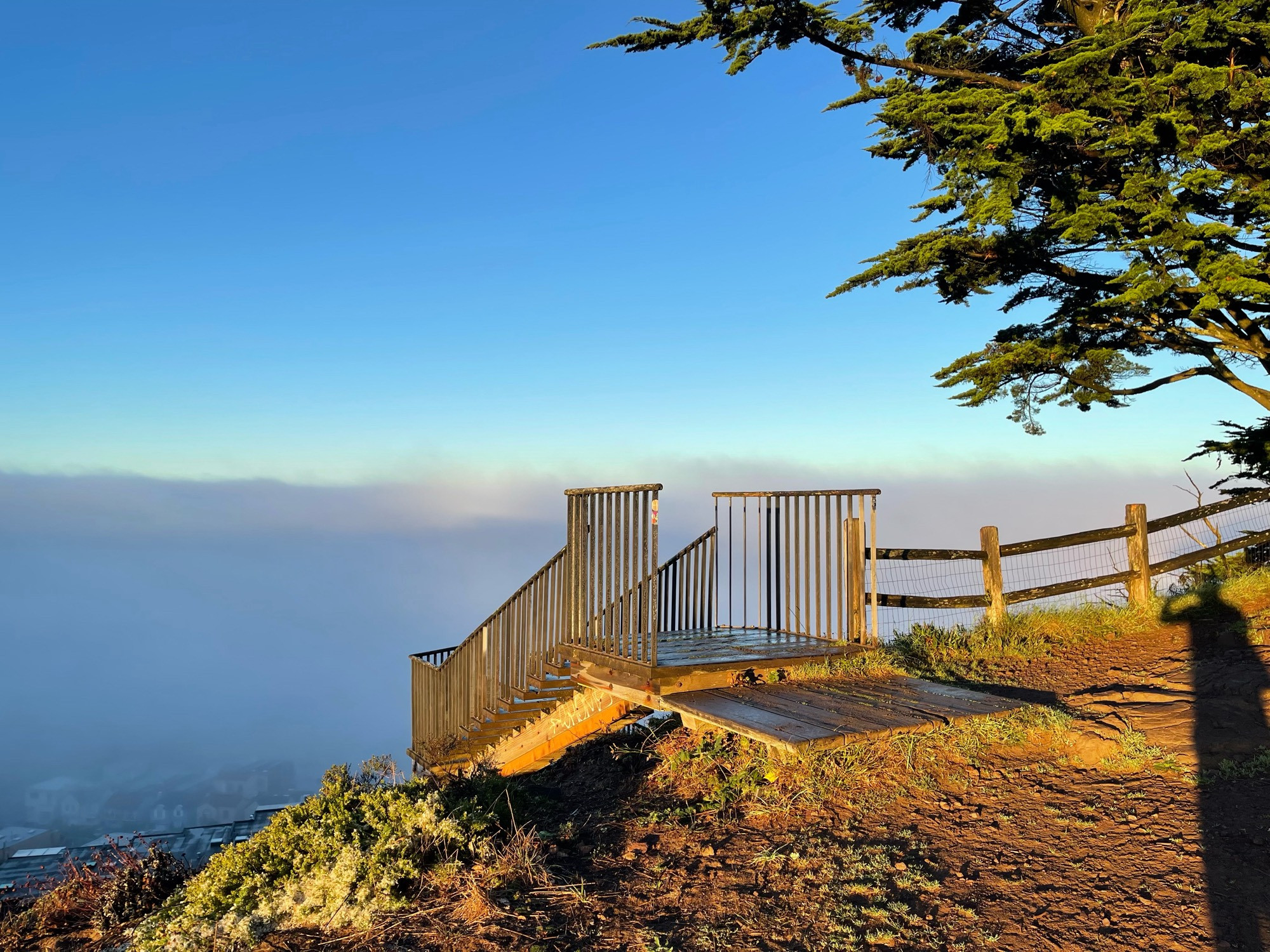 Looking down from a hill at San Francisco covered in fog.