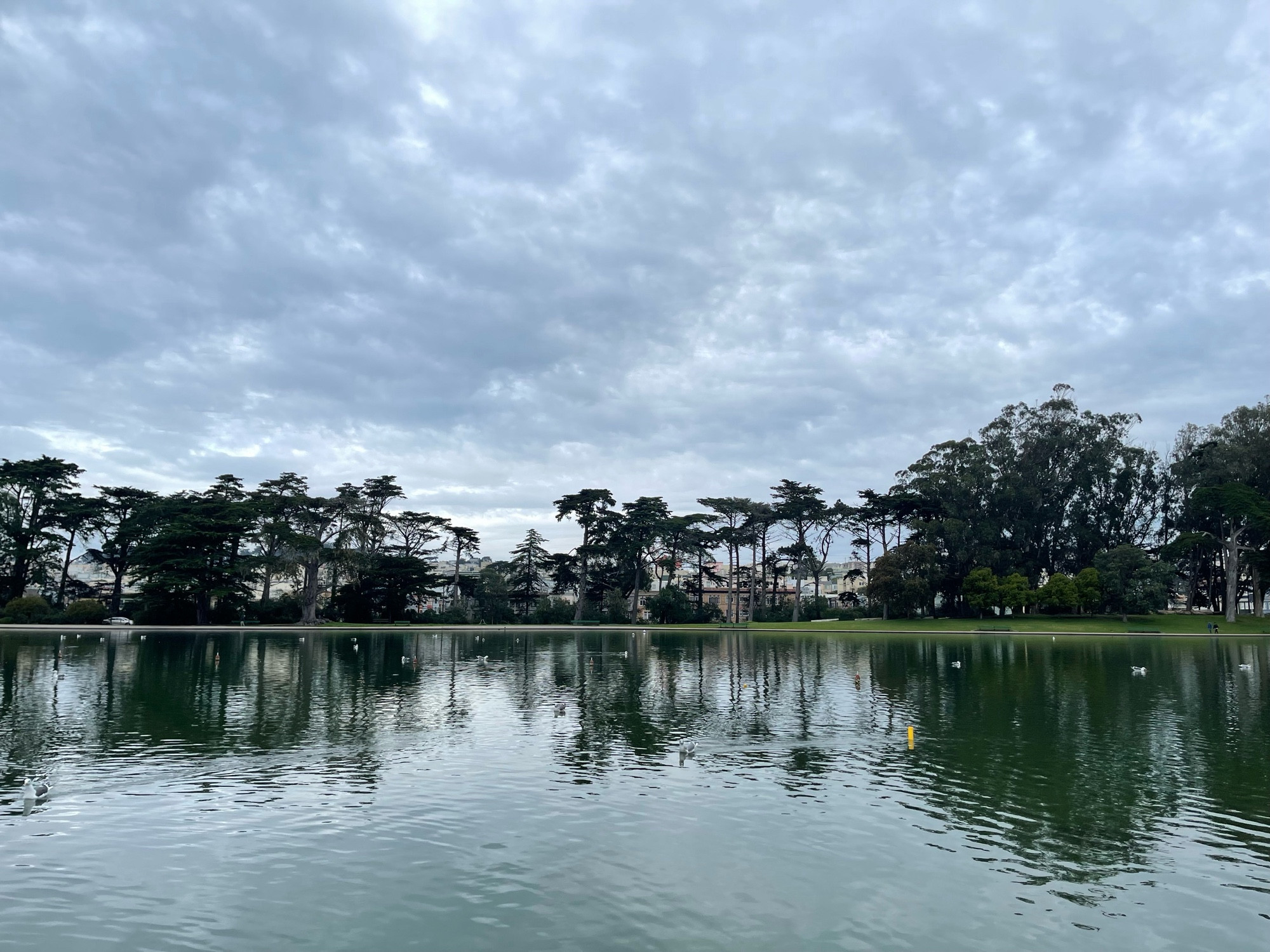 A photo of Spreckels Lake in San Francisco’s Golden Gate Park