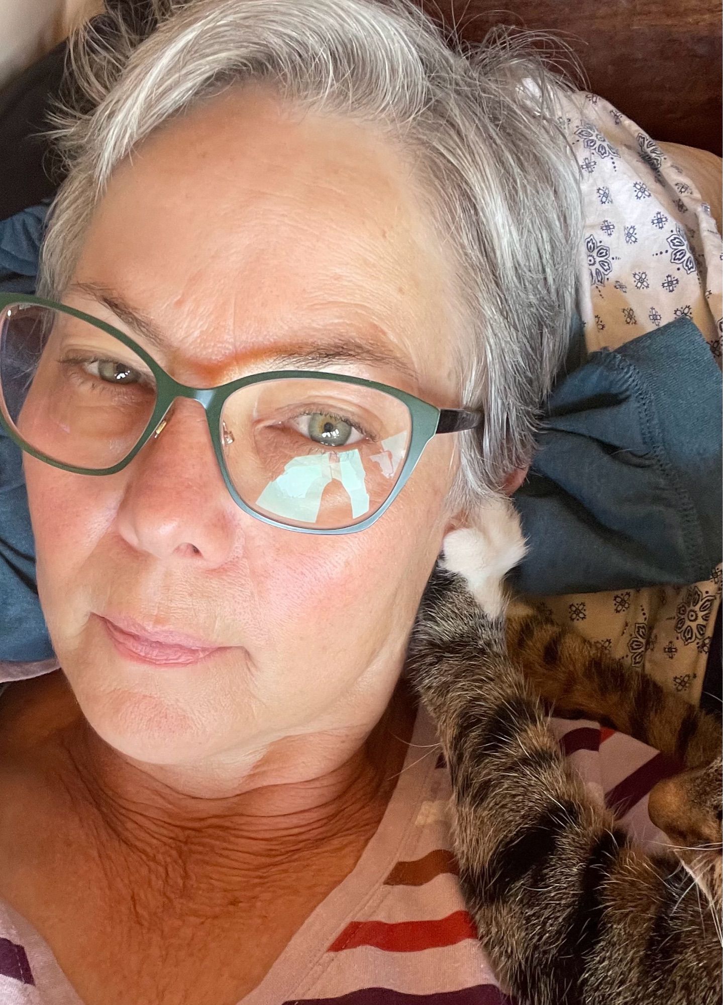 A tabby cat with his paw in a 60 year old white woman’s ear