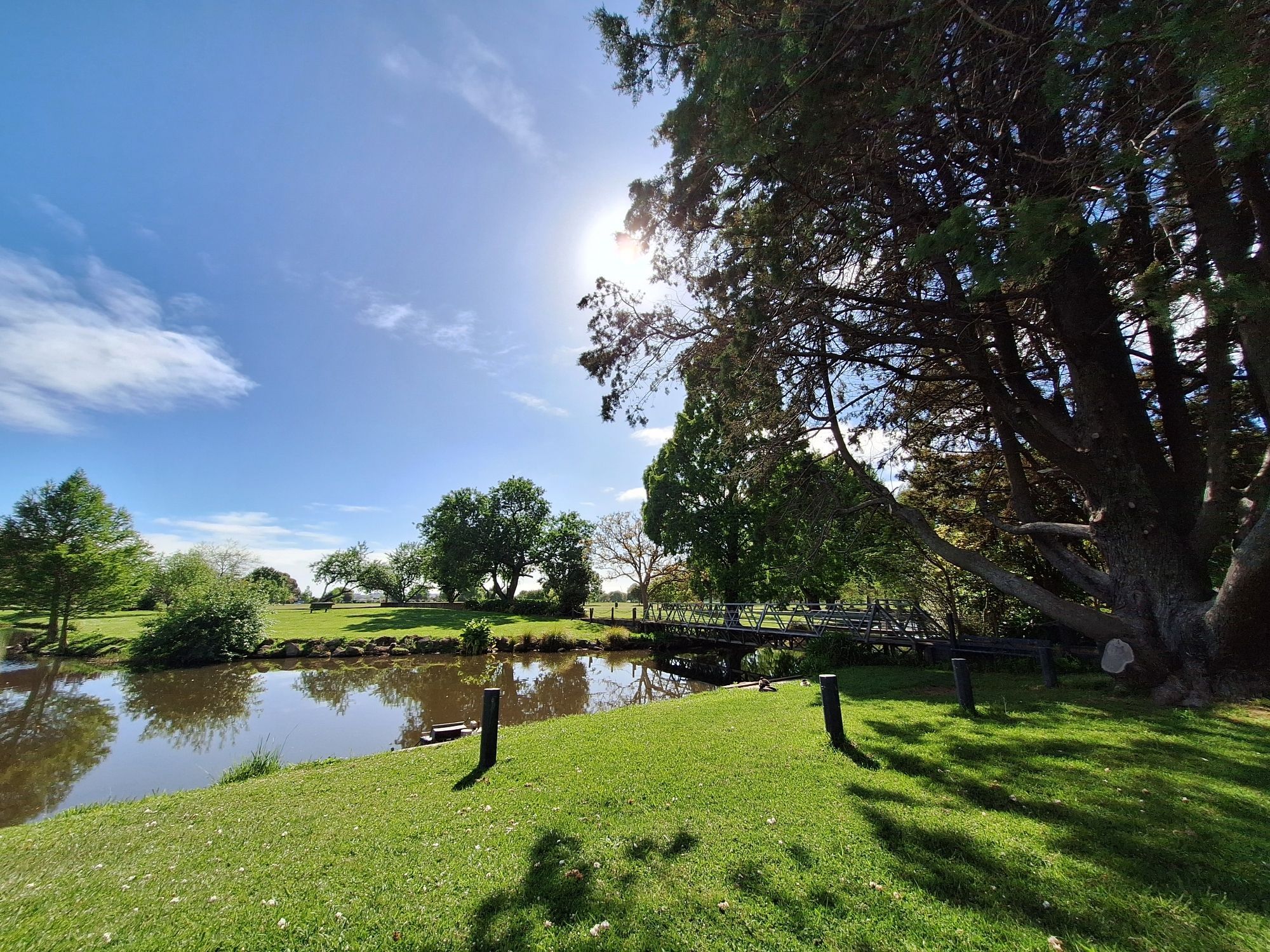 A view of rhe park with trees and pond and a little mini train bridge over the water