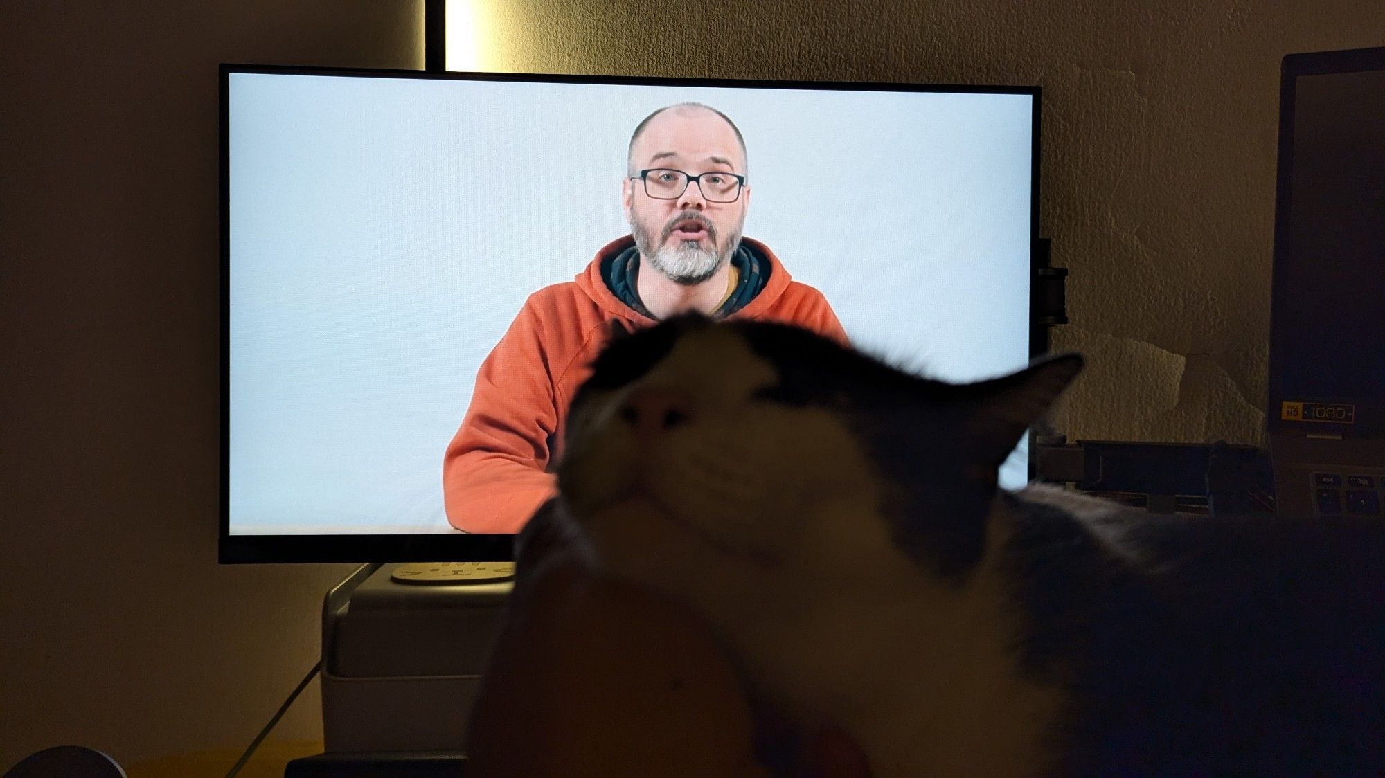 Watching Dan Olson on YouTube with Jack.